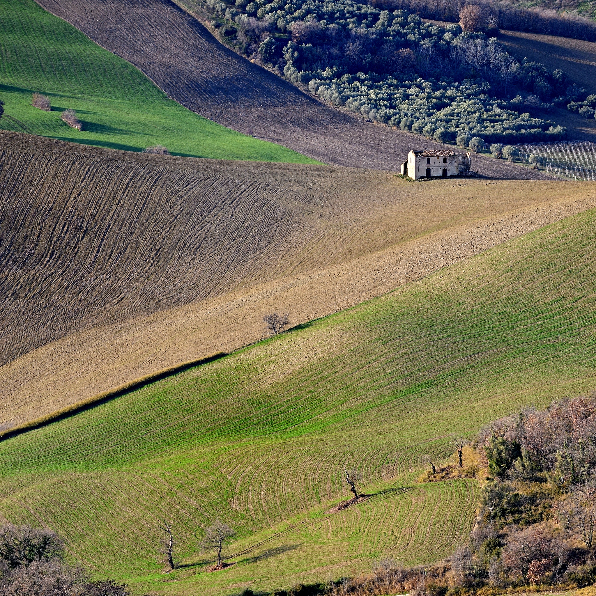 Convergences