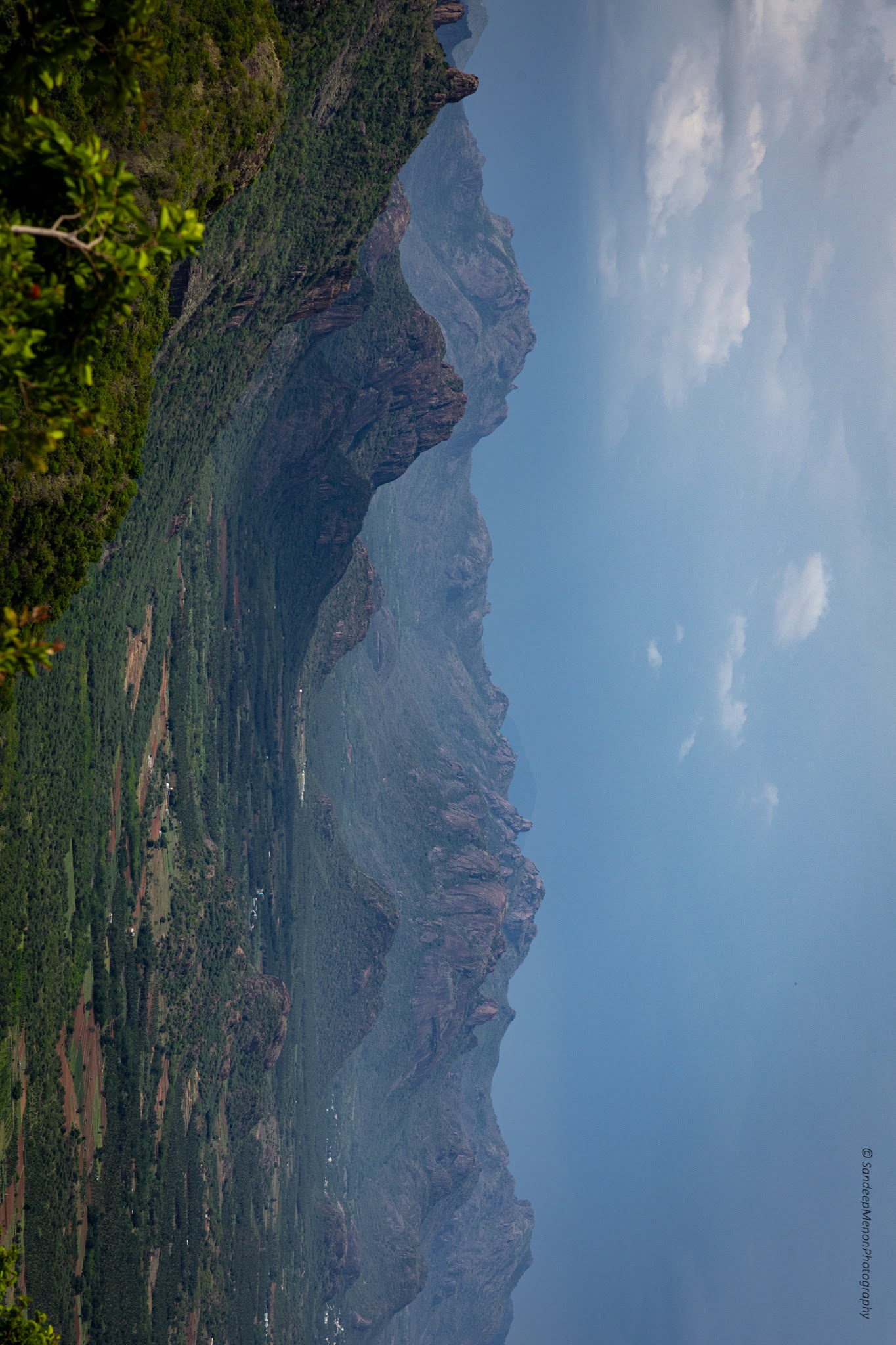 Wavy mountains of meghamalai