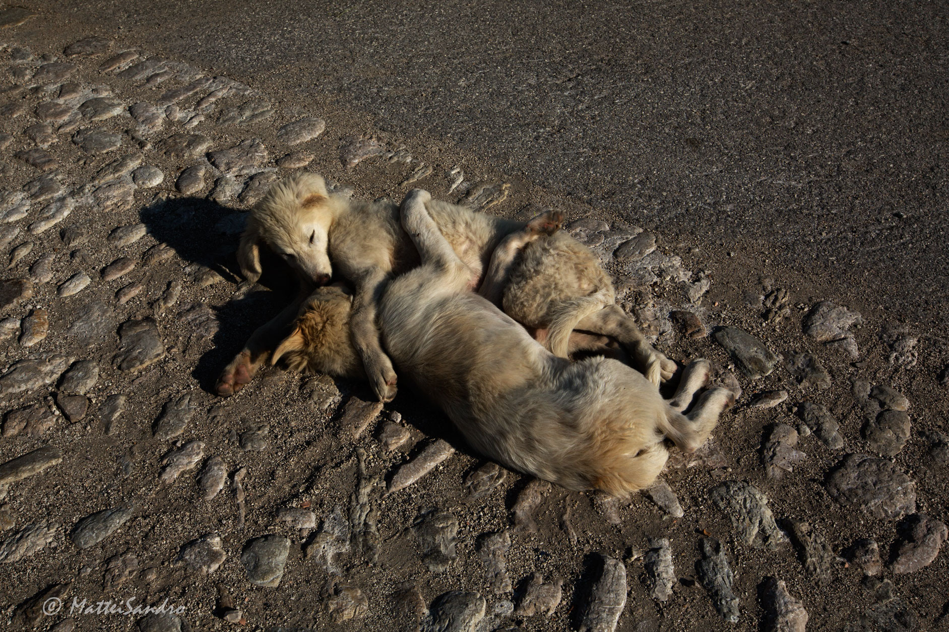 Close neighbors ...... ...... .....