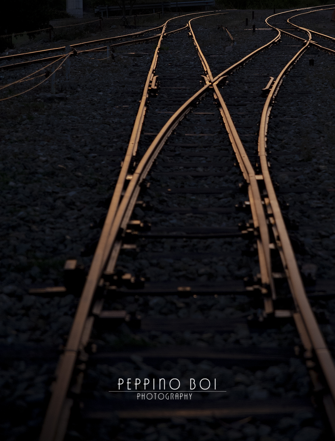 What will be the right path?