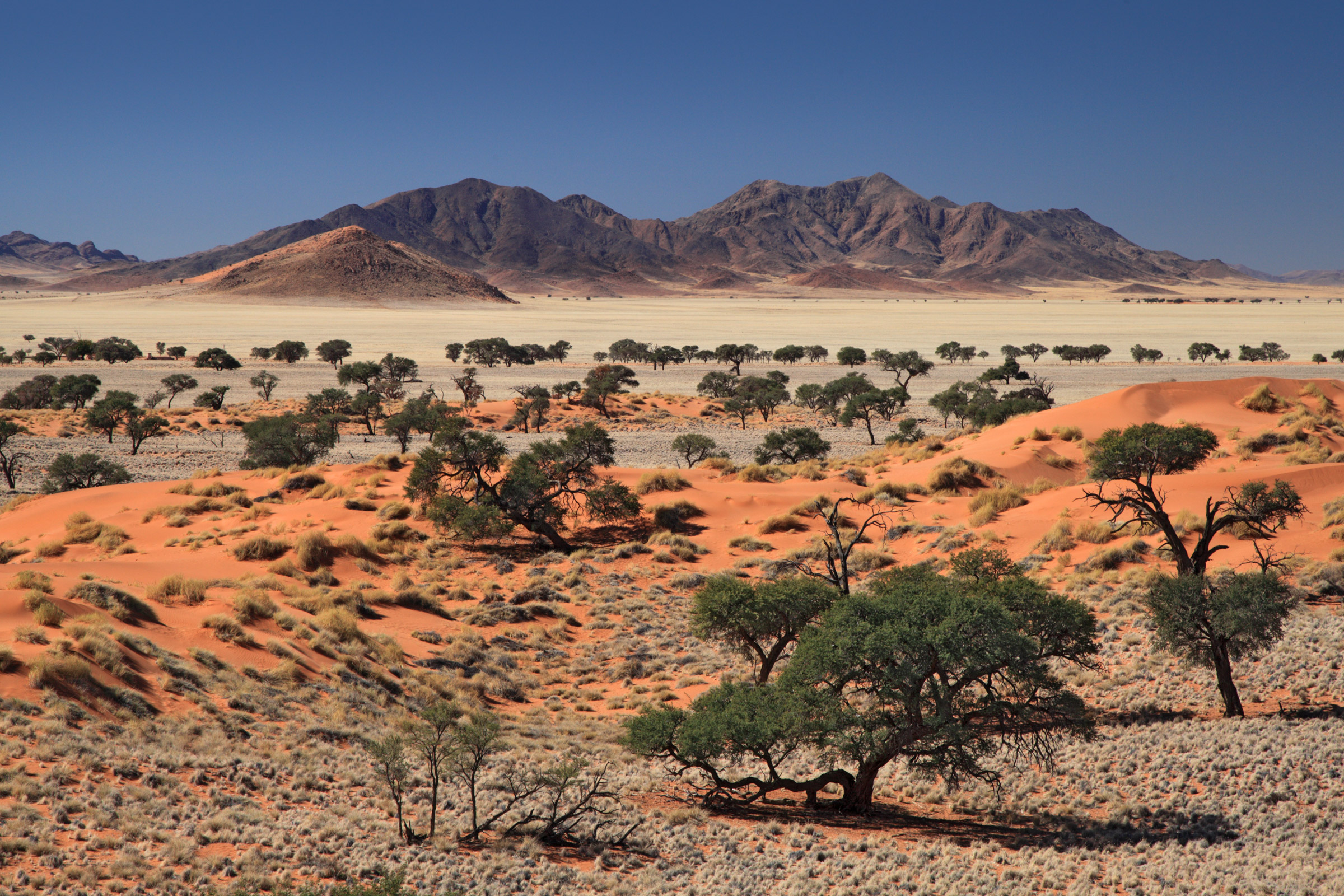 Mattina in Namibrand