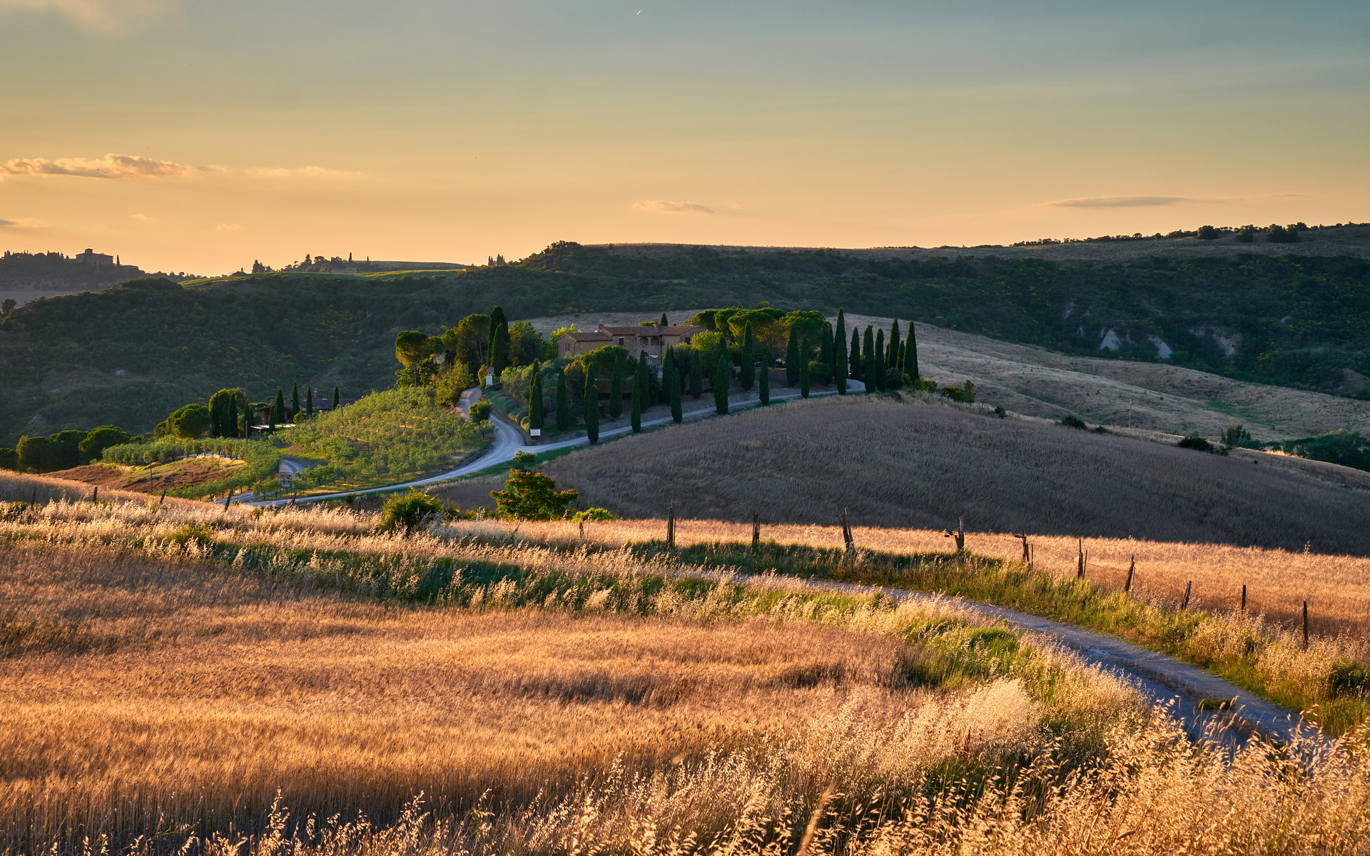 Summer in Val d'Orcia (SI)