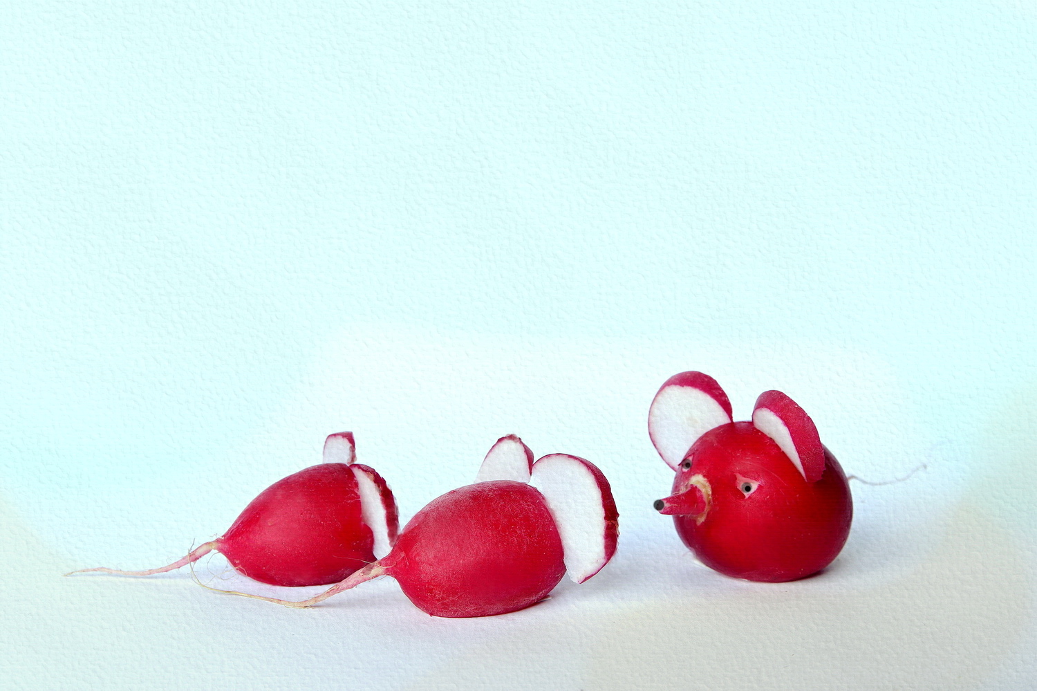 mice