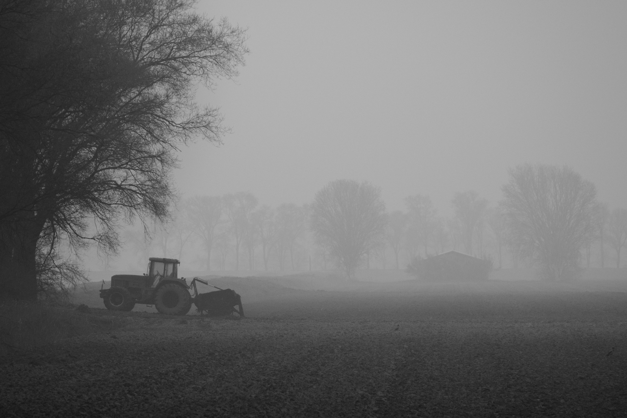 Nebbia