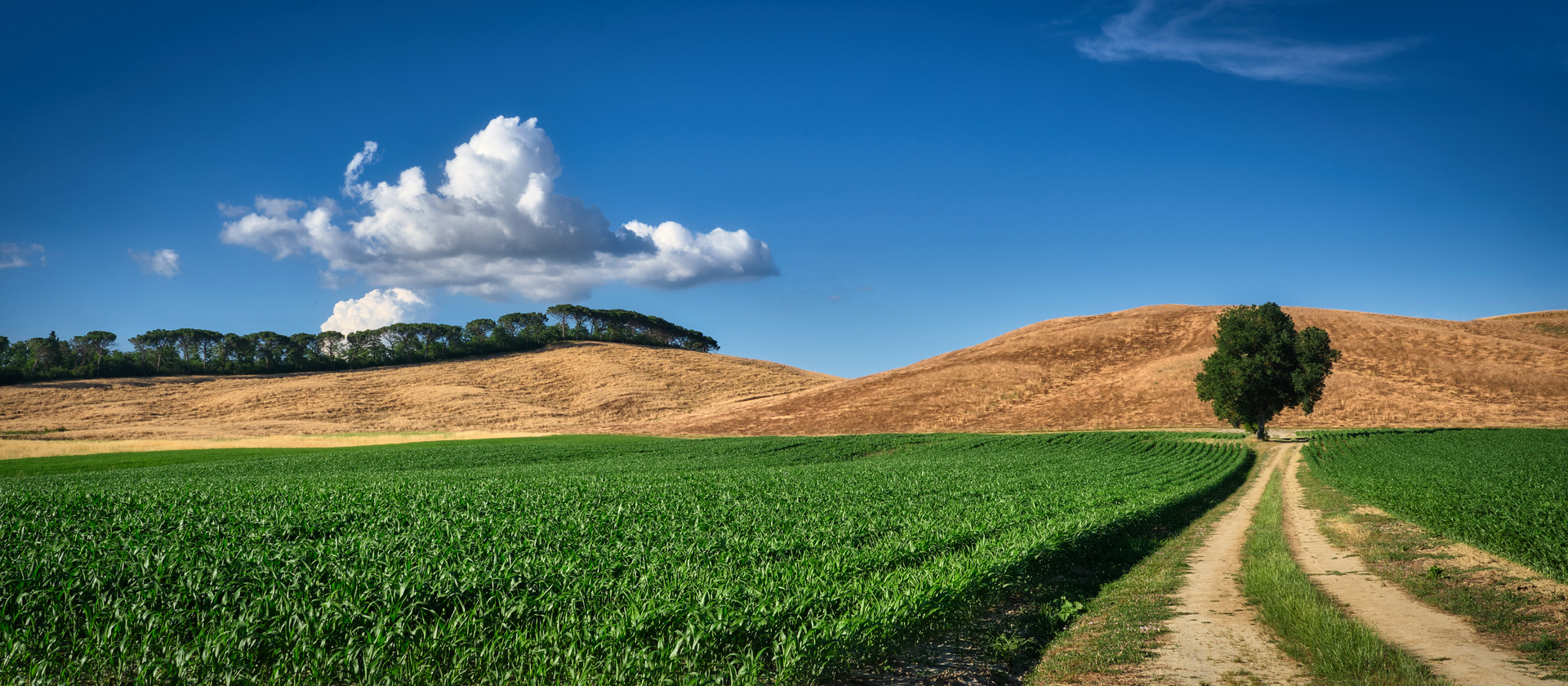 Crete Senesi