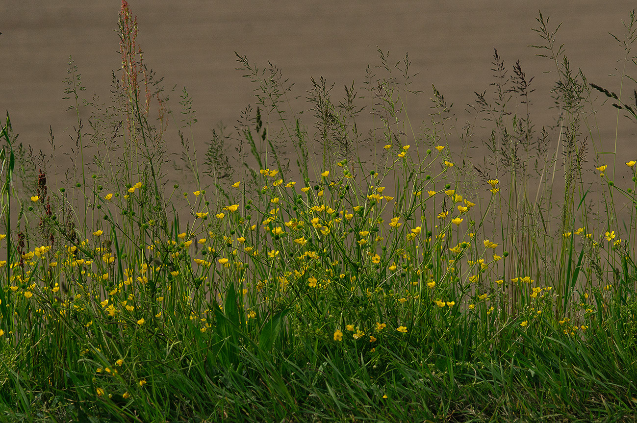 On the margins