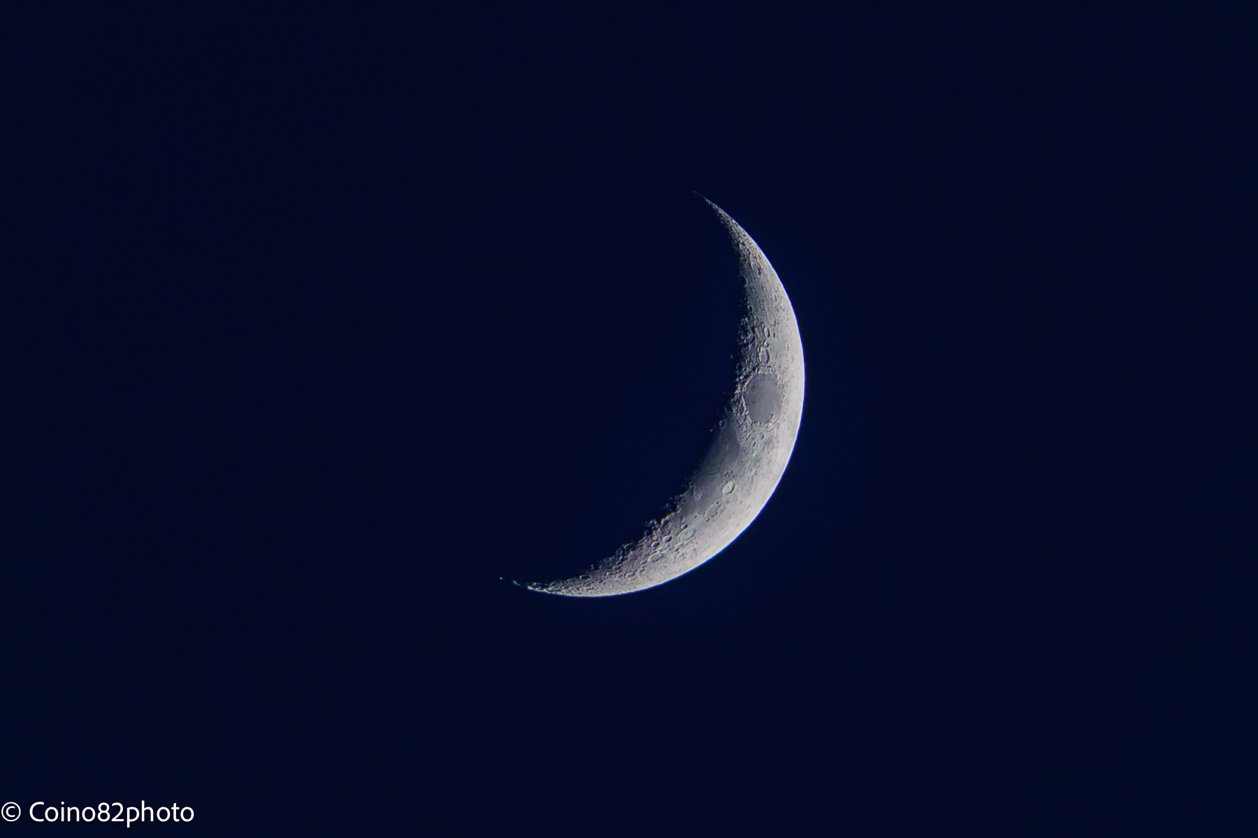 Untitled Photo