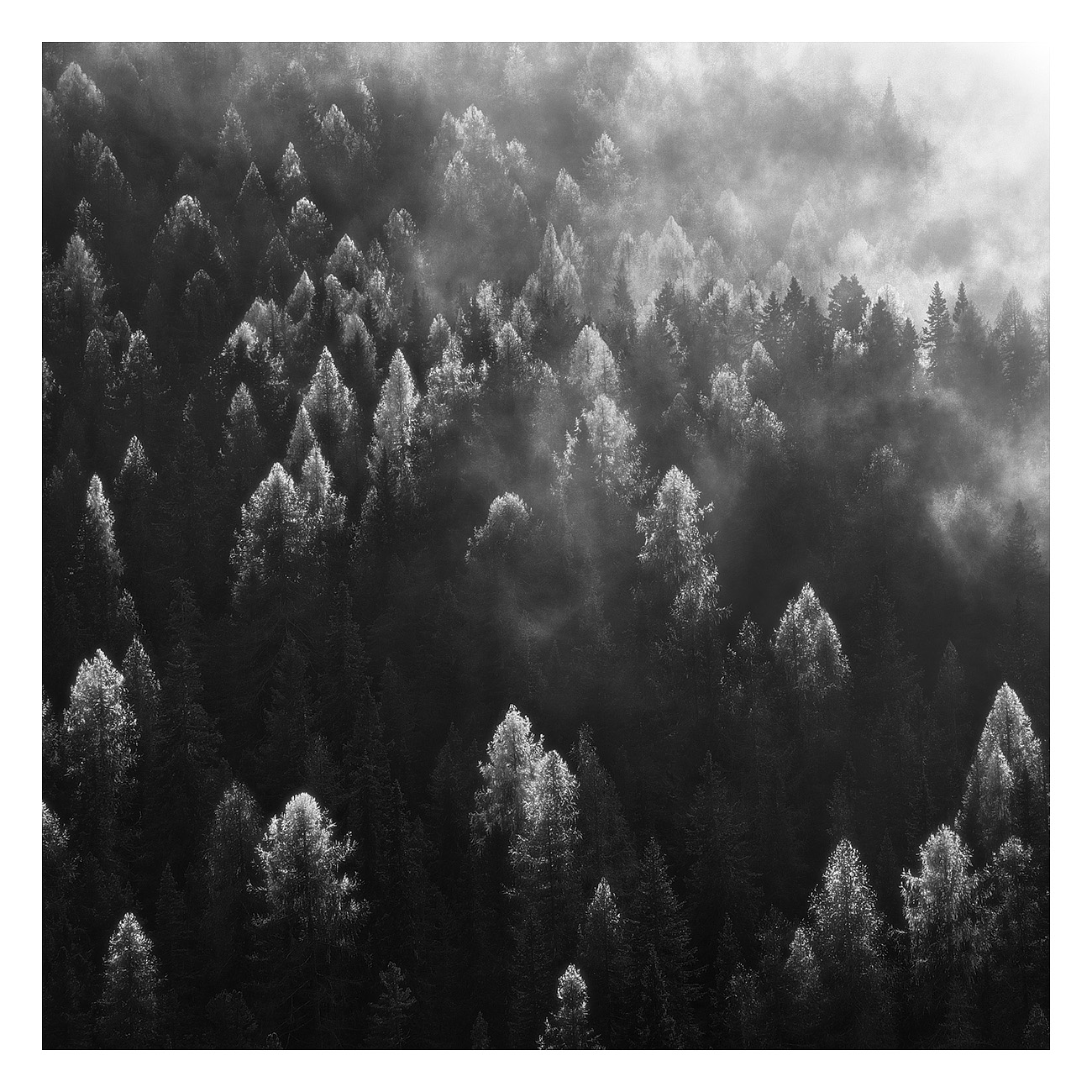 dolomiti 5