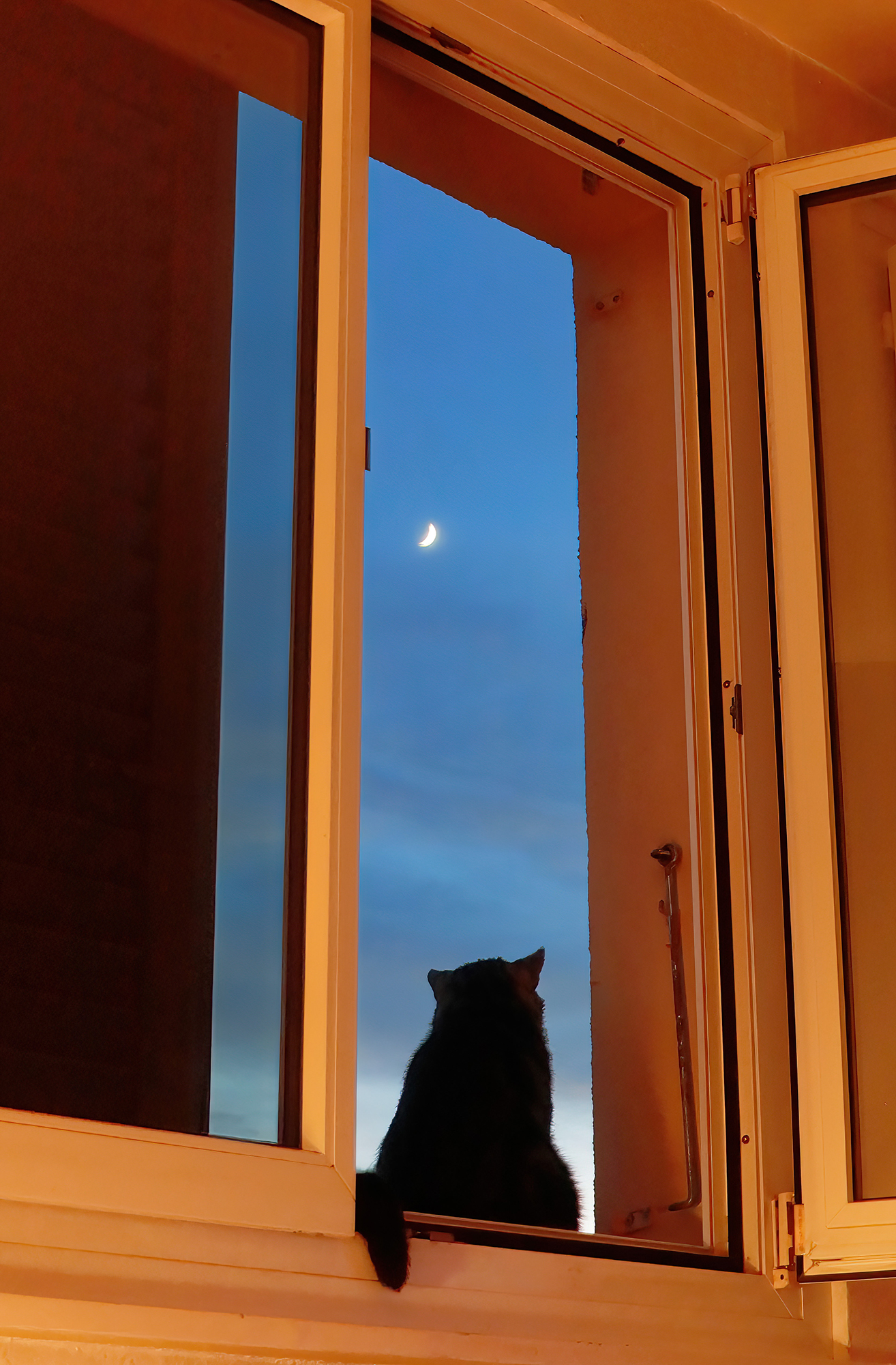 noctural contemplation