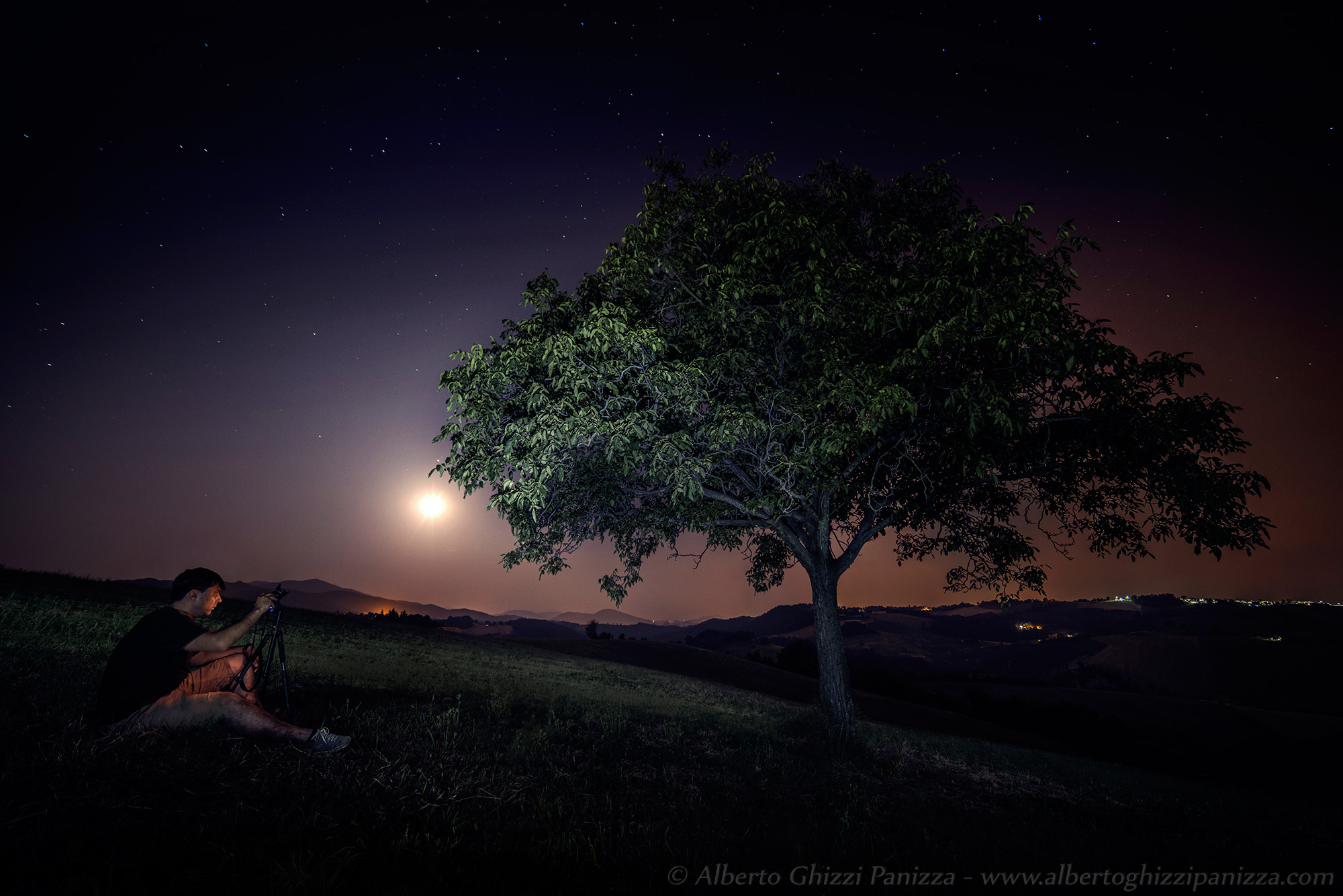 Photographing the tree of dreams
