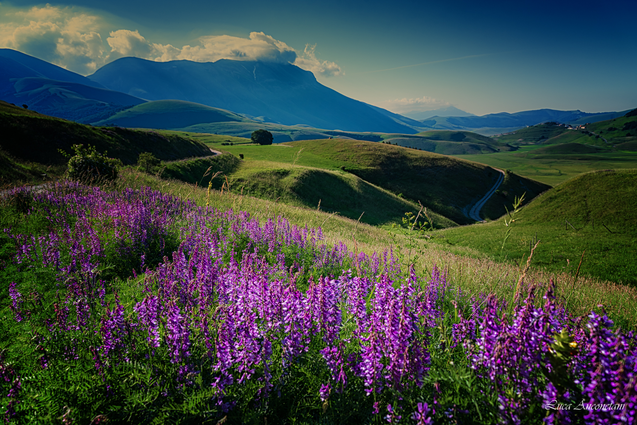 The colors of Castelluccio