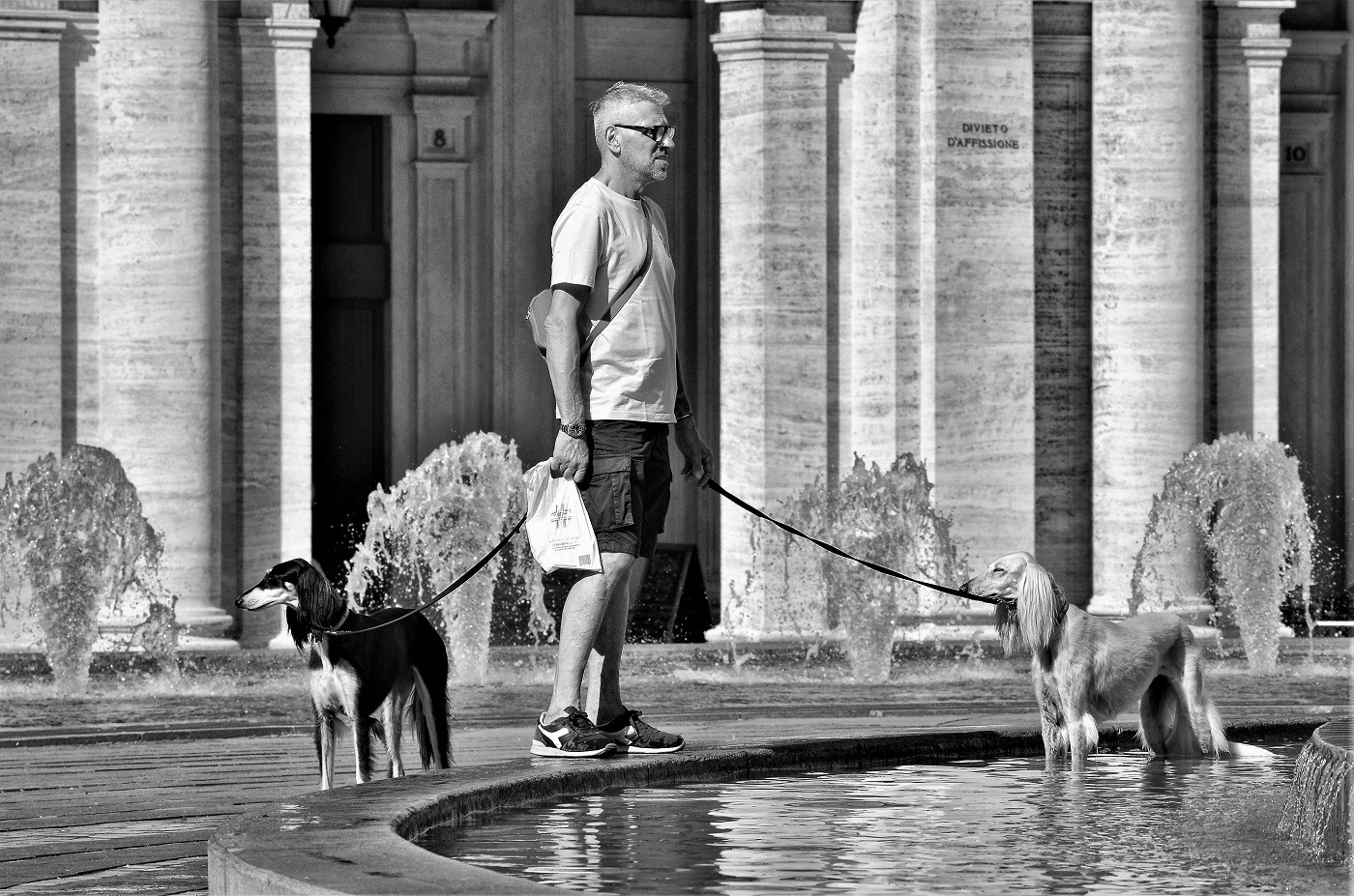 Anche loro hanno caldo...