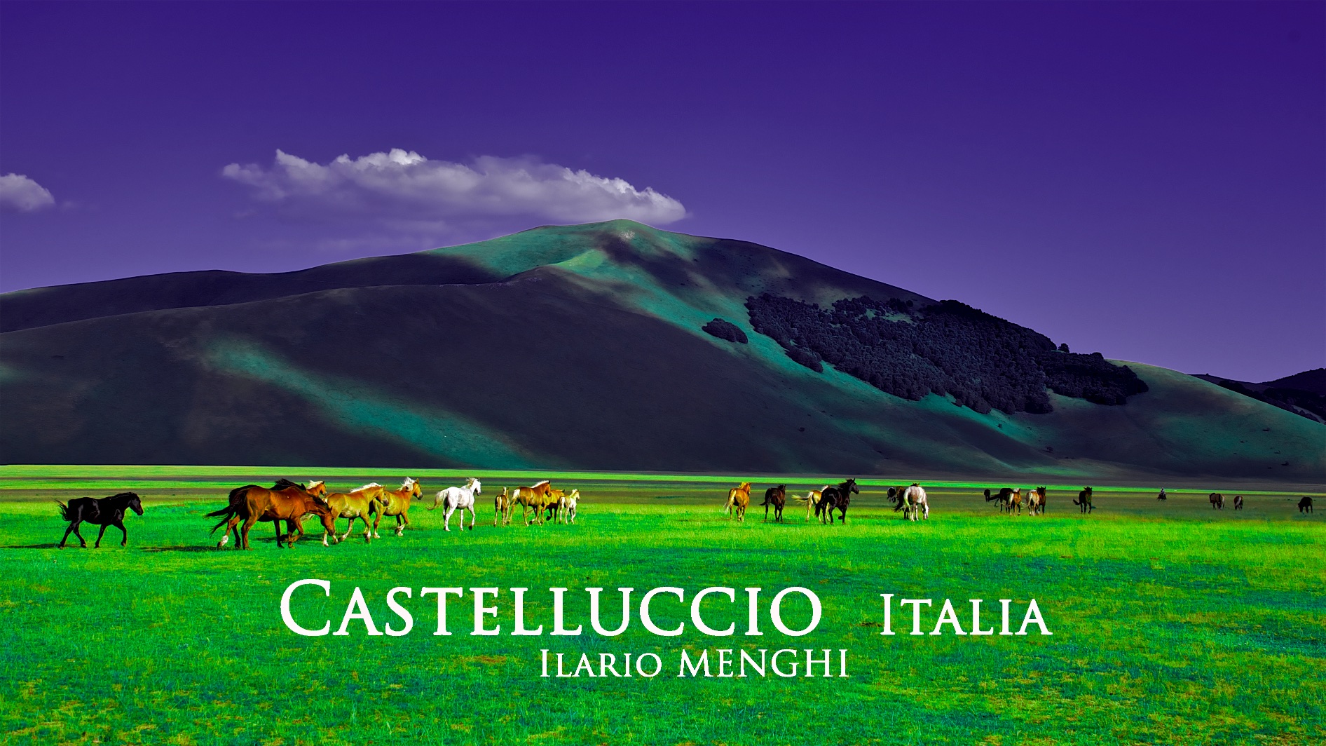 Castelluccio