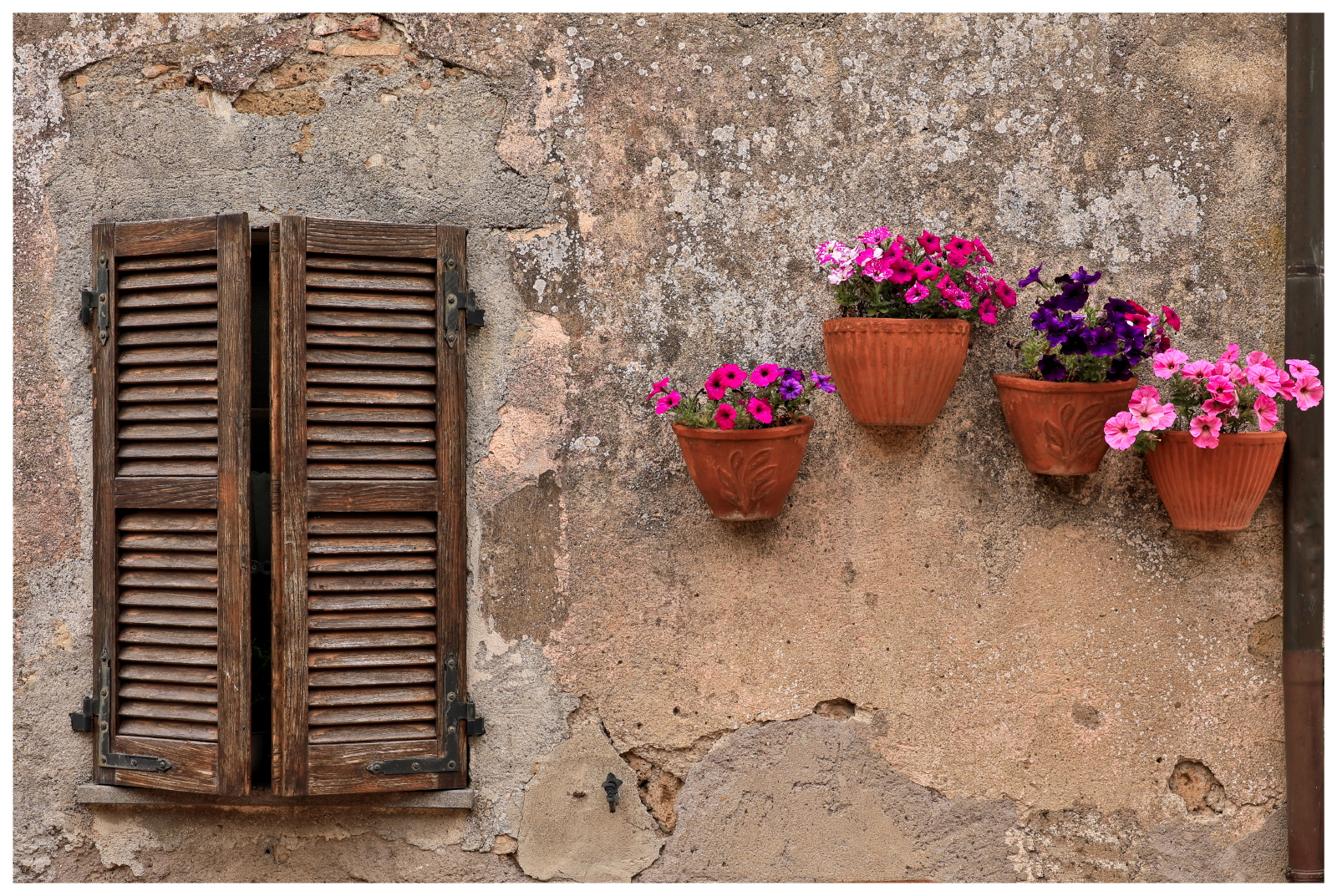 Sovana 2026 (GR)