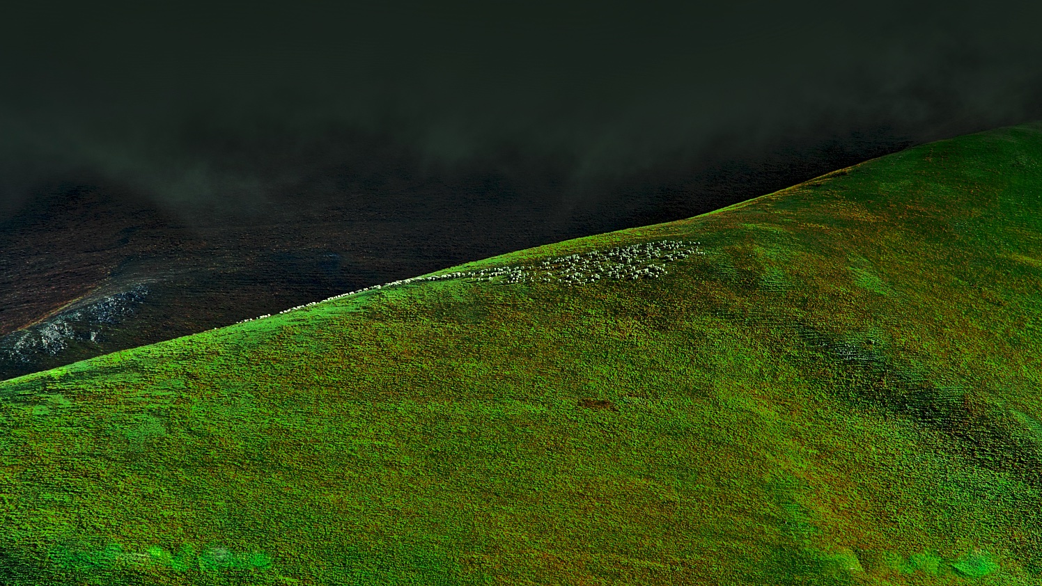 Castelluccio