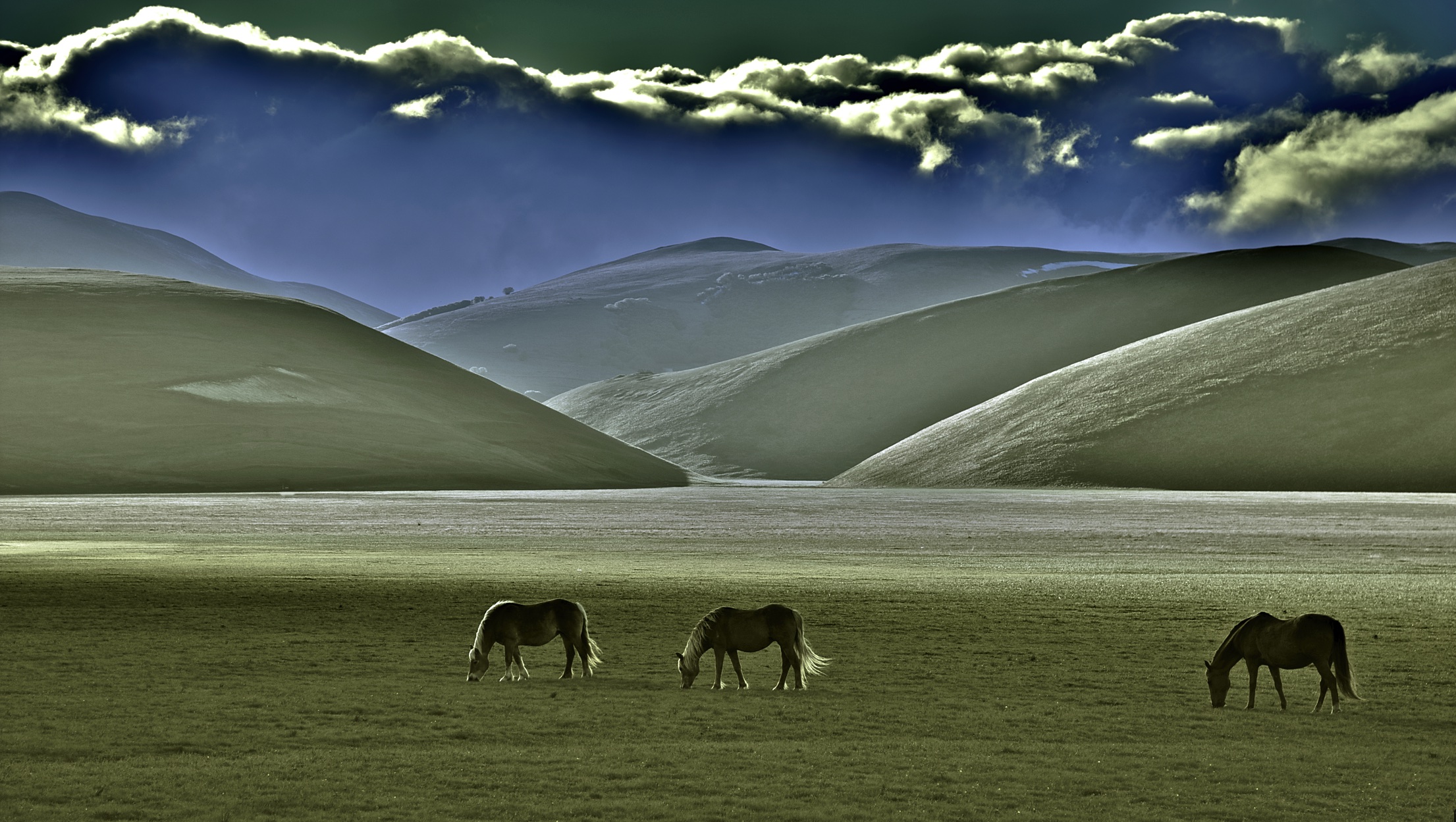 Castelluccio