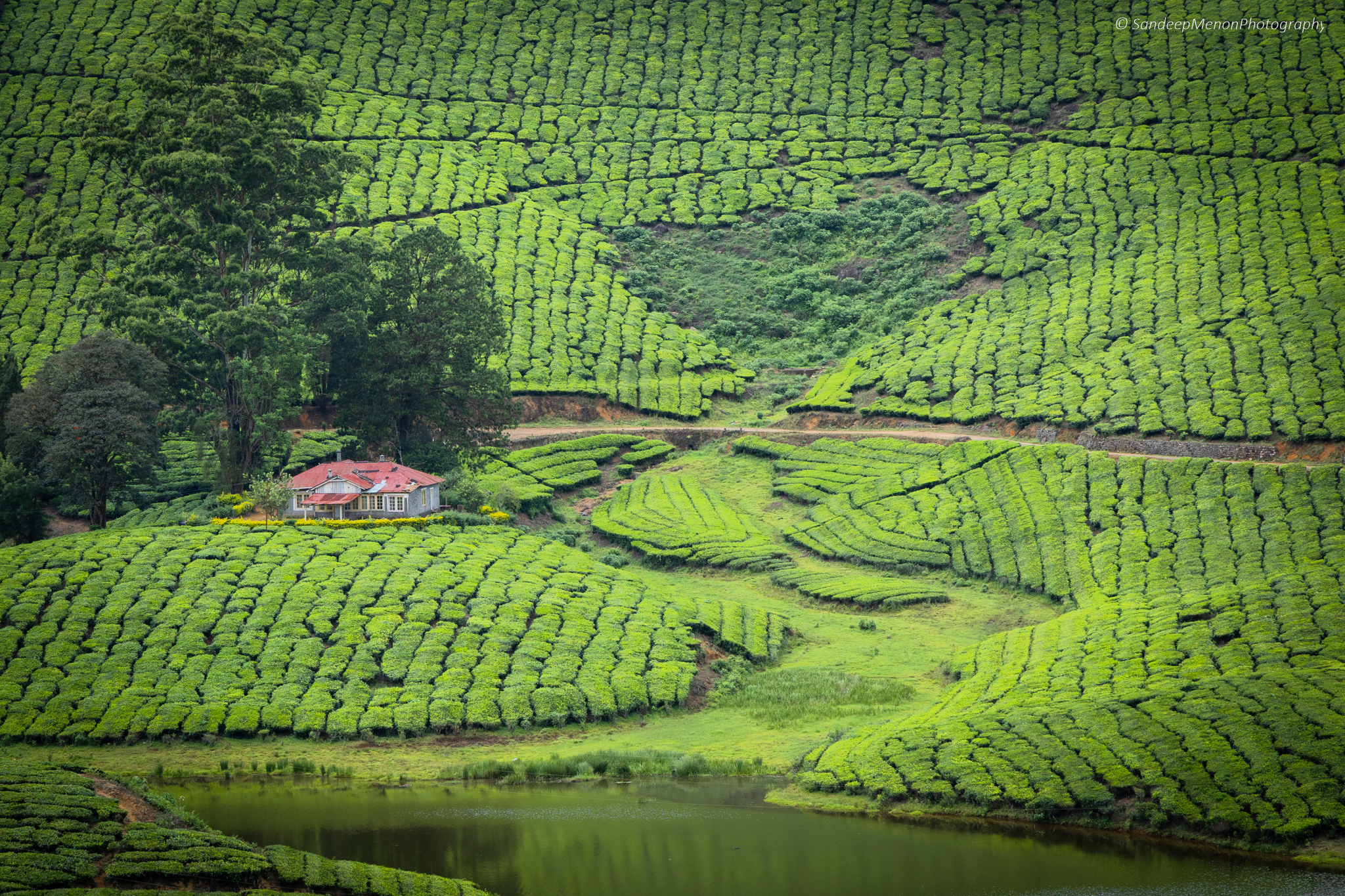 Tea estate bungalow, Meghamalai, Tamilnadu, India