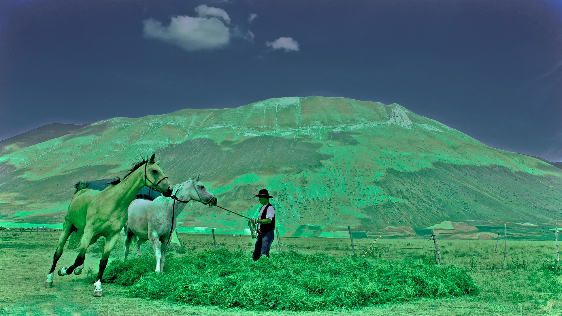 Castelluccio