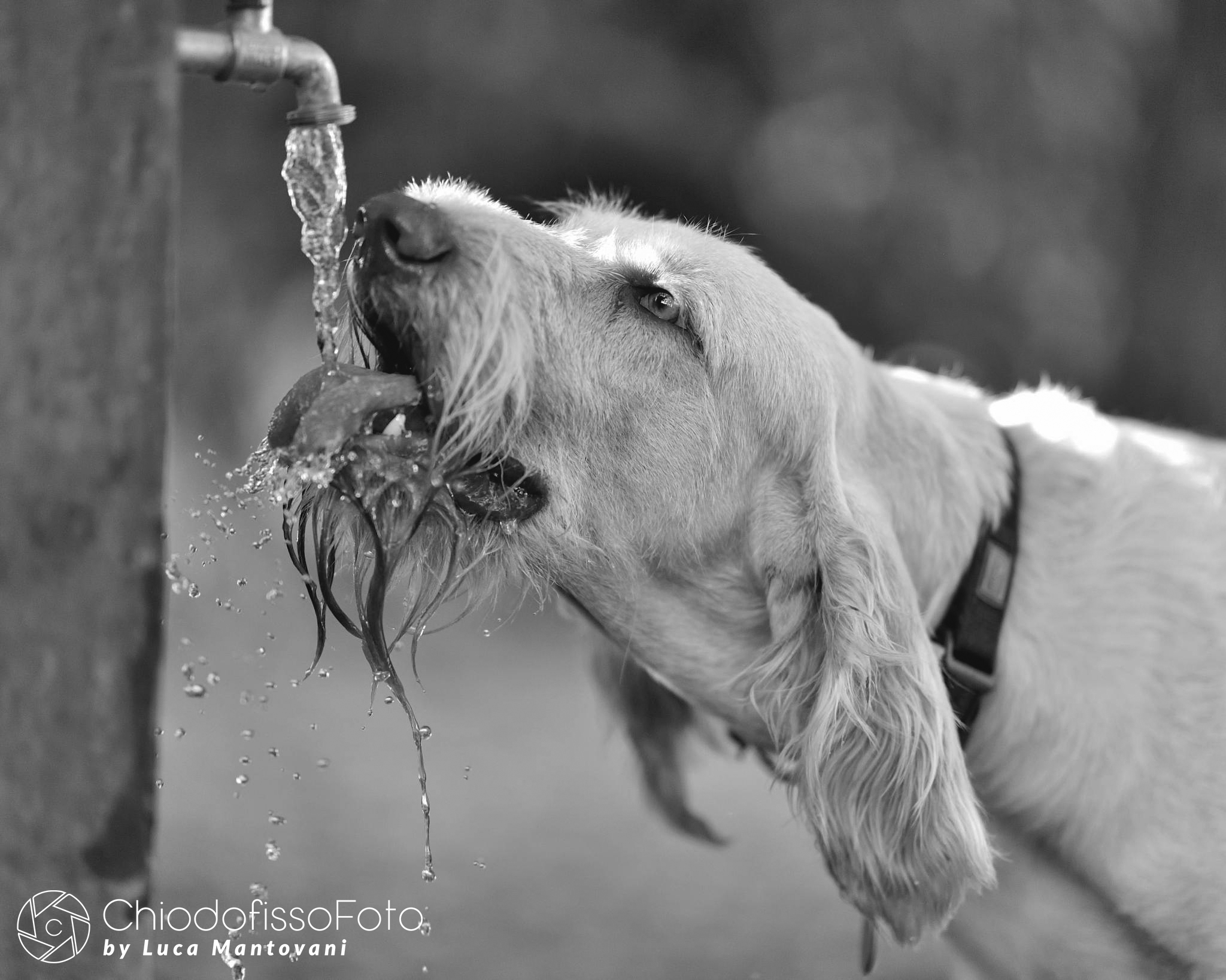 Argos is also thirsty