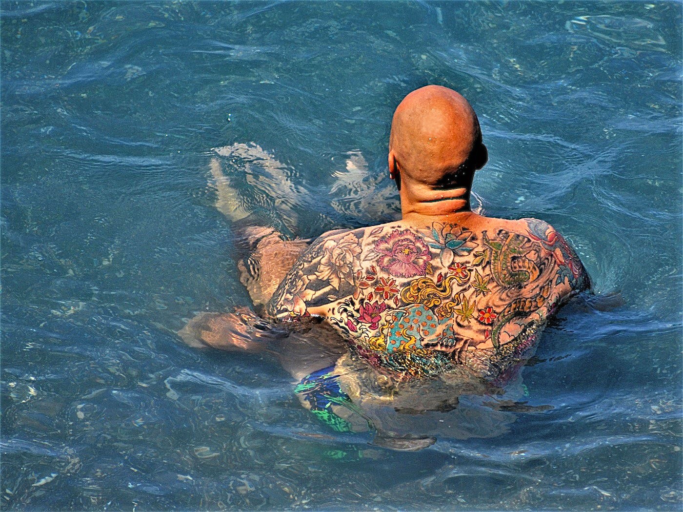 Cominciò tutto con un fiorellino...