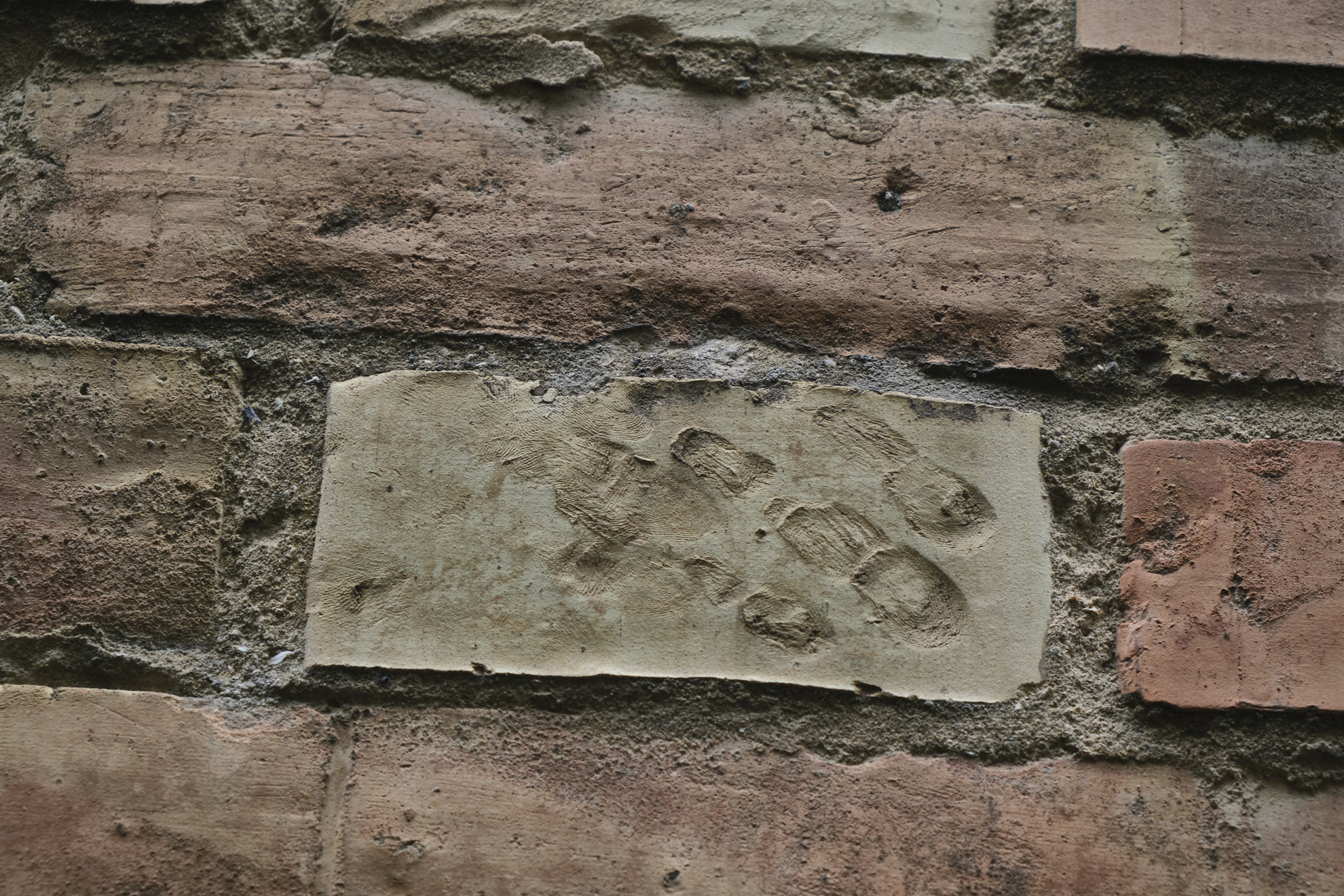 Imprints