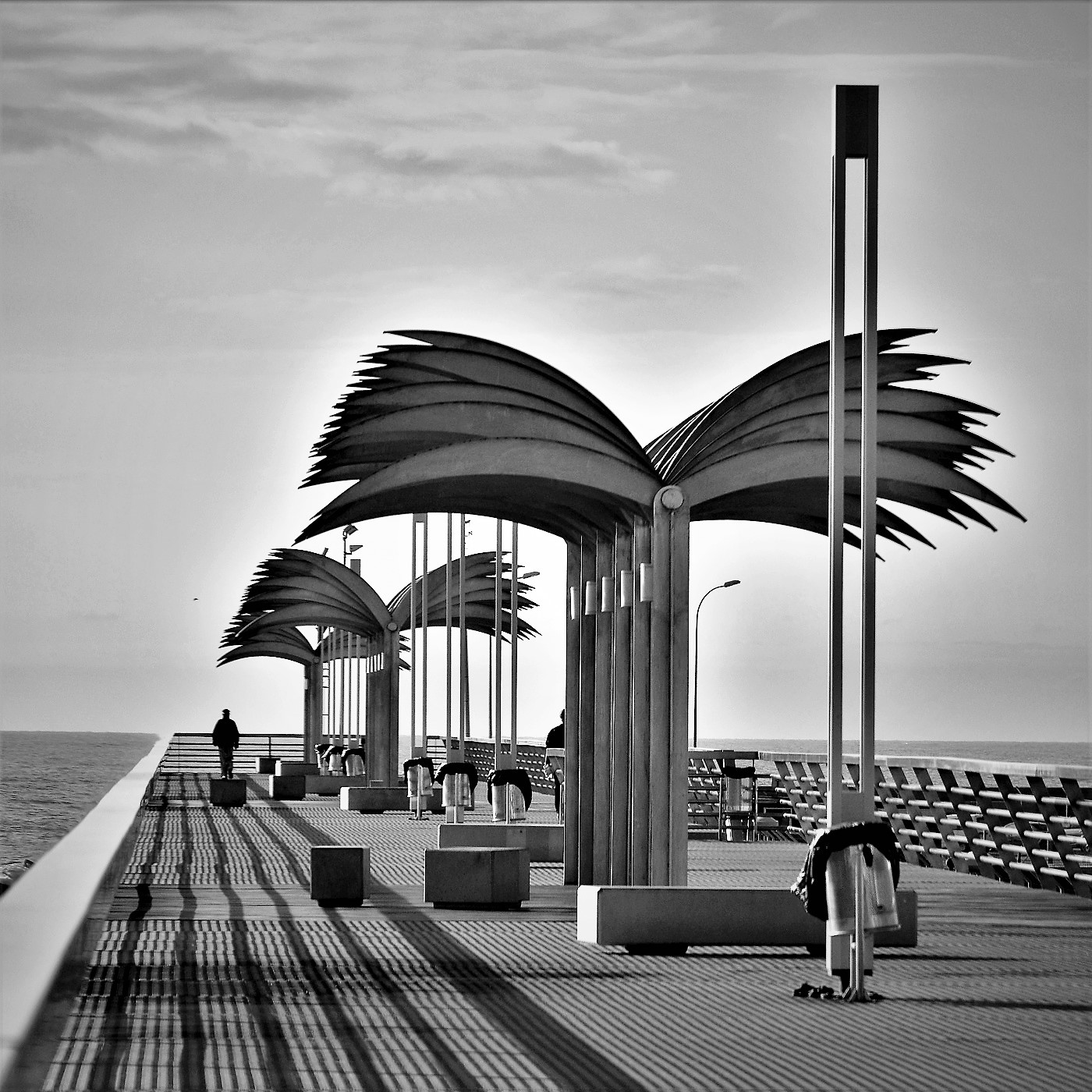 Alicante, città delle palme