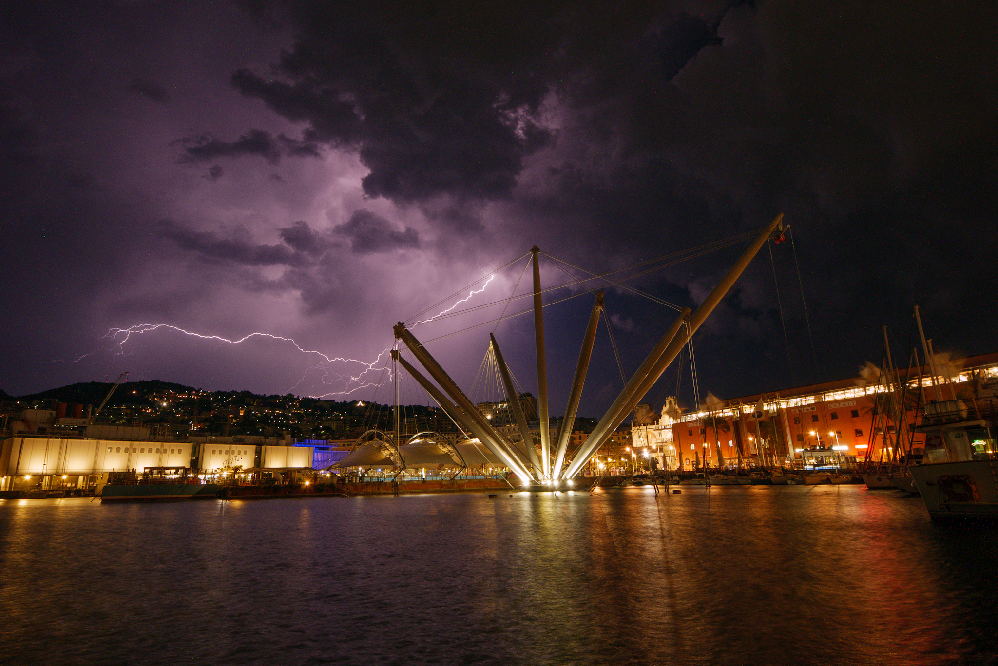 Genoa