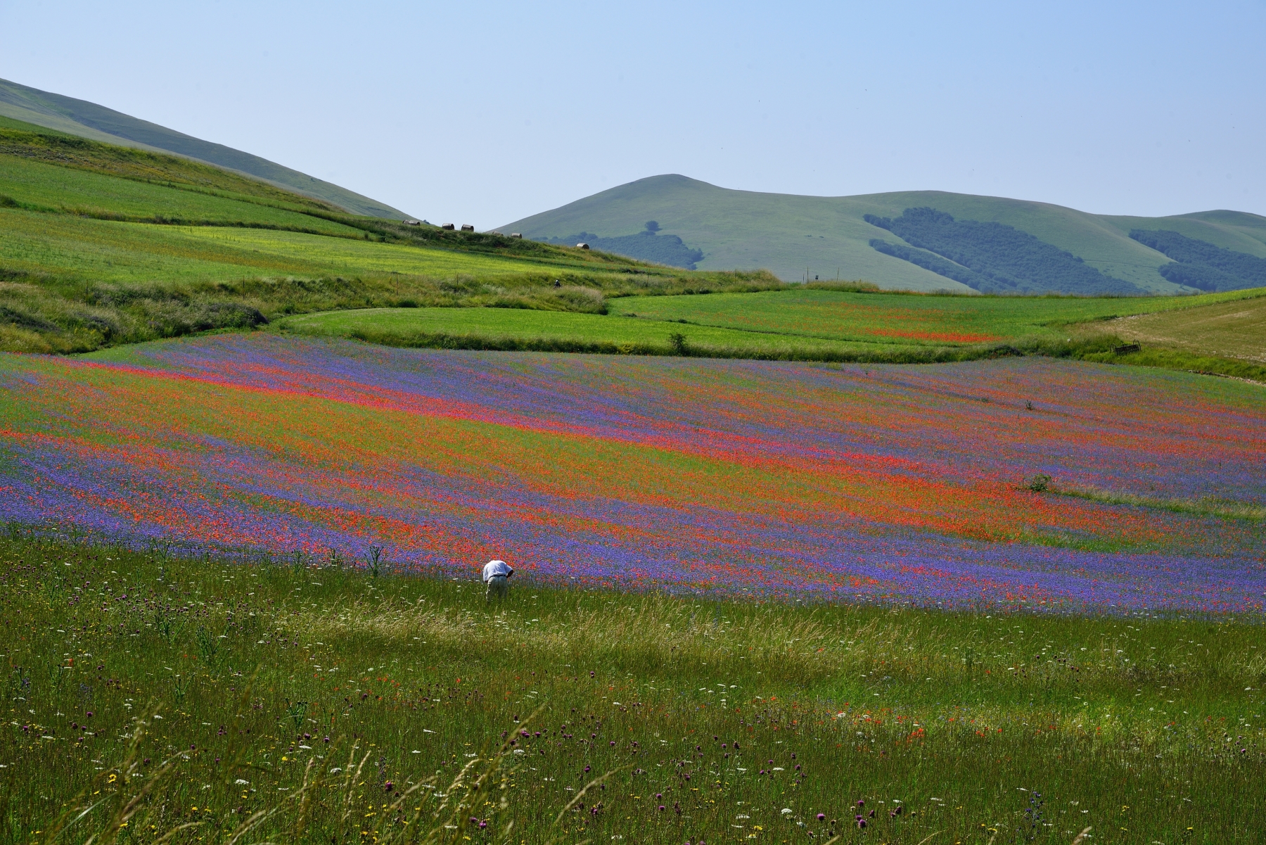 The Sibillini Mountains