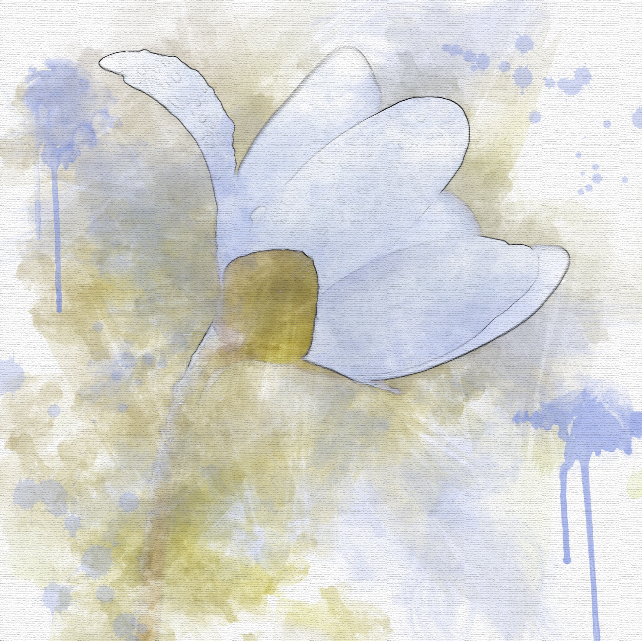 Paintingraphy