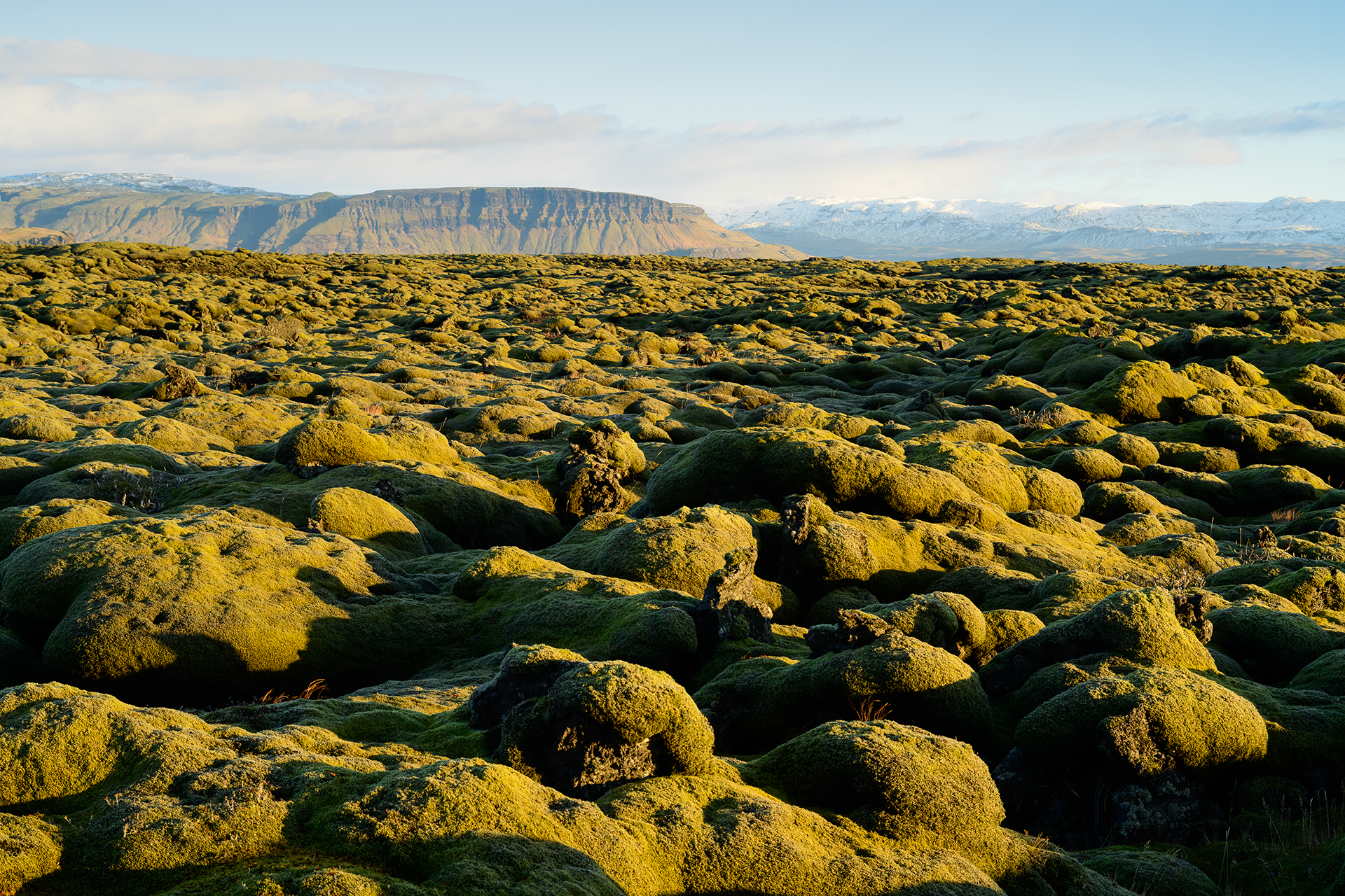 Lava and moss