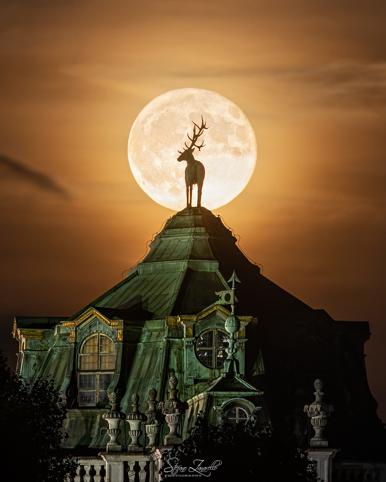 Il Cervo e la Luna