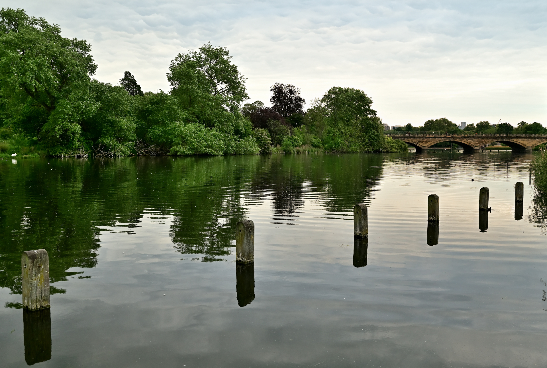 Serpentine Bridge
