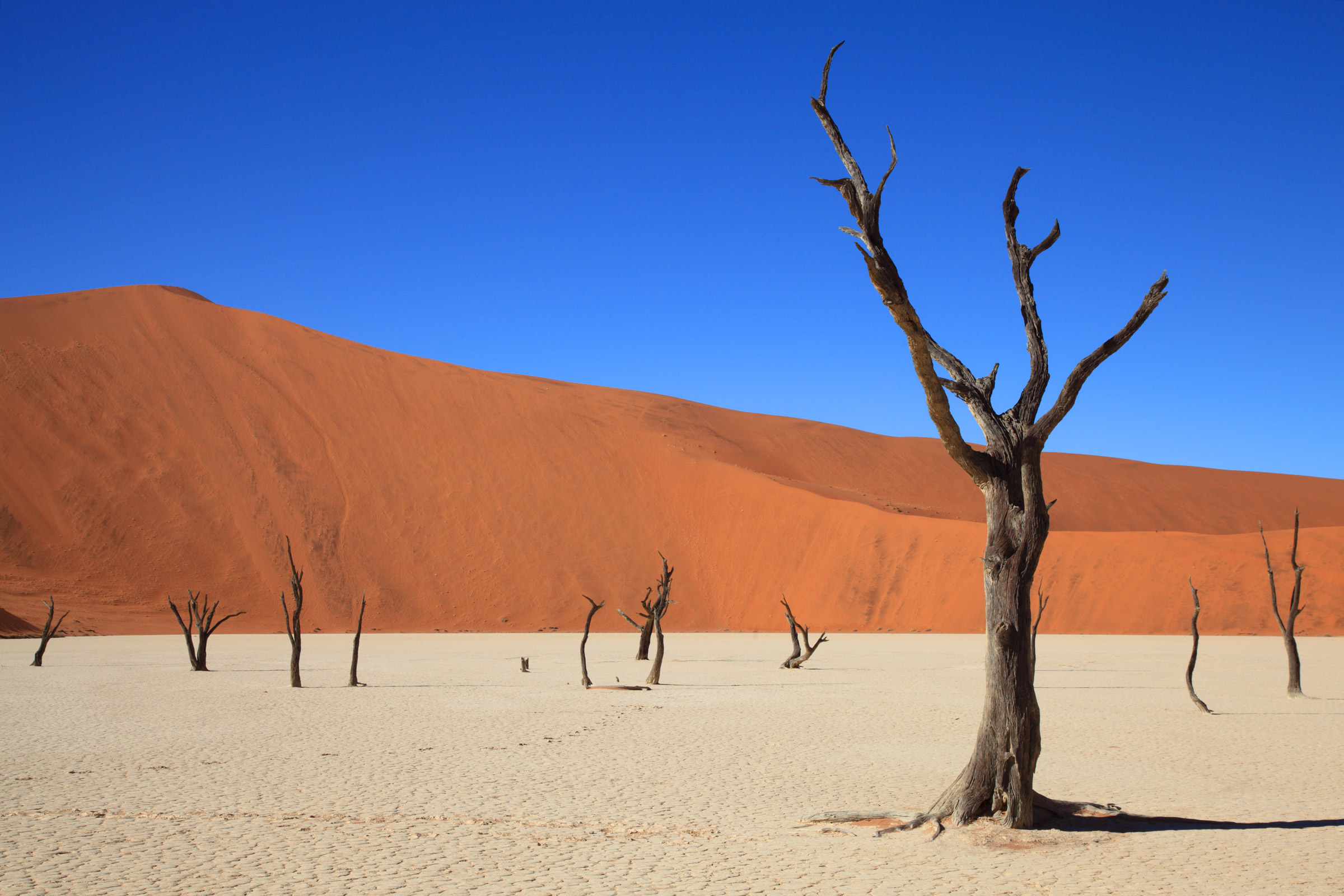Il Dead Vlei nel Parco Nazionale del Namib Naukluft