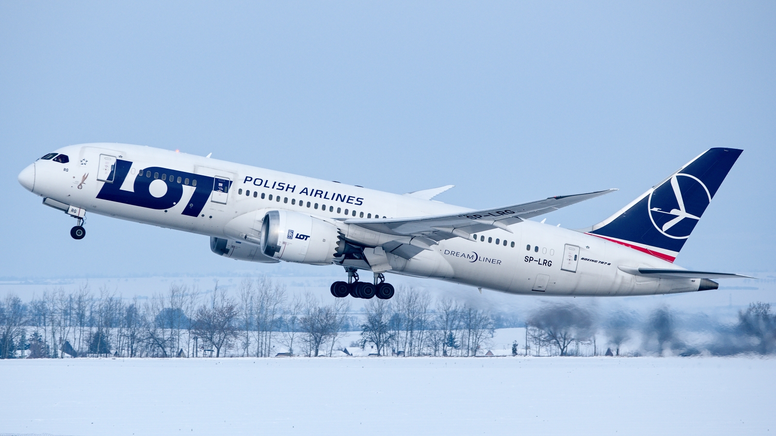 Dremliner 787-8
