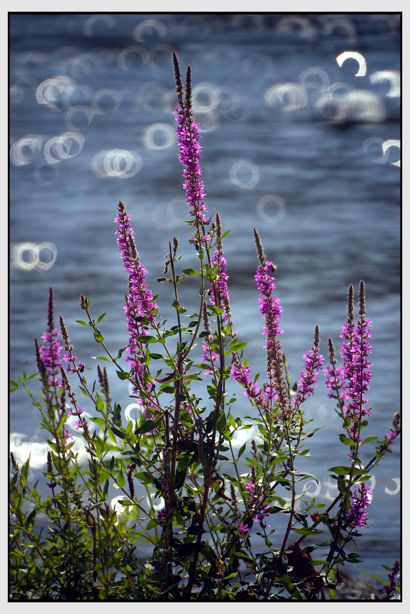 On the riverbank.