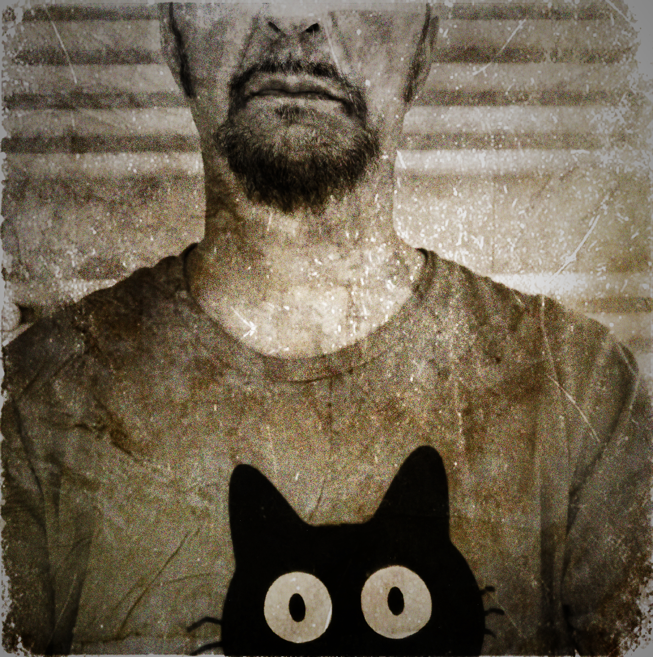 Self portrait