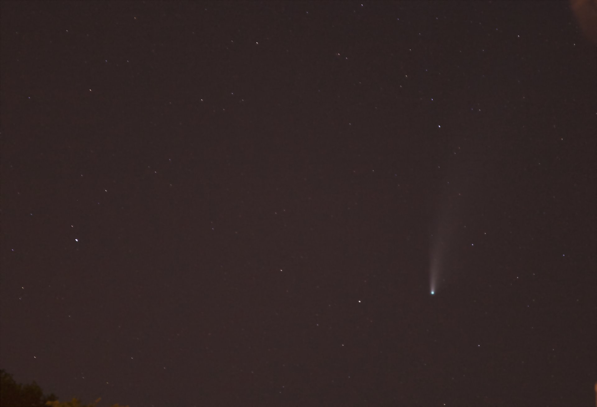 Stella cometa Neowise. Dal mio repertorio.