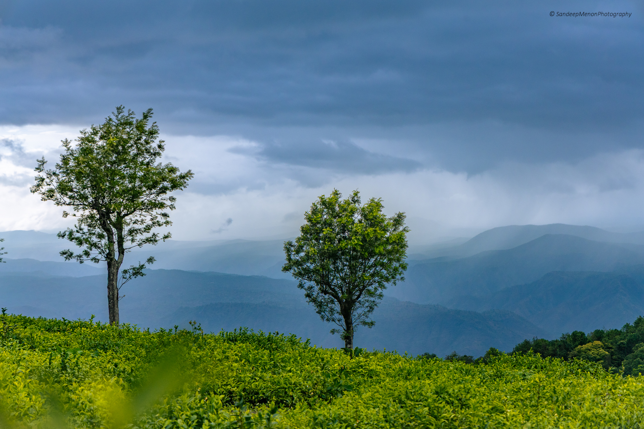 Kodanad, Tamilnadu, India