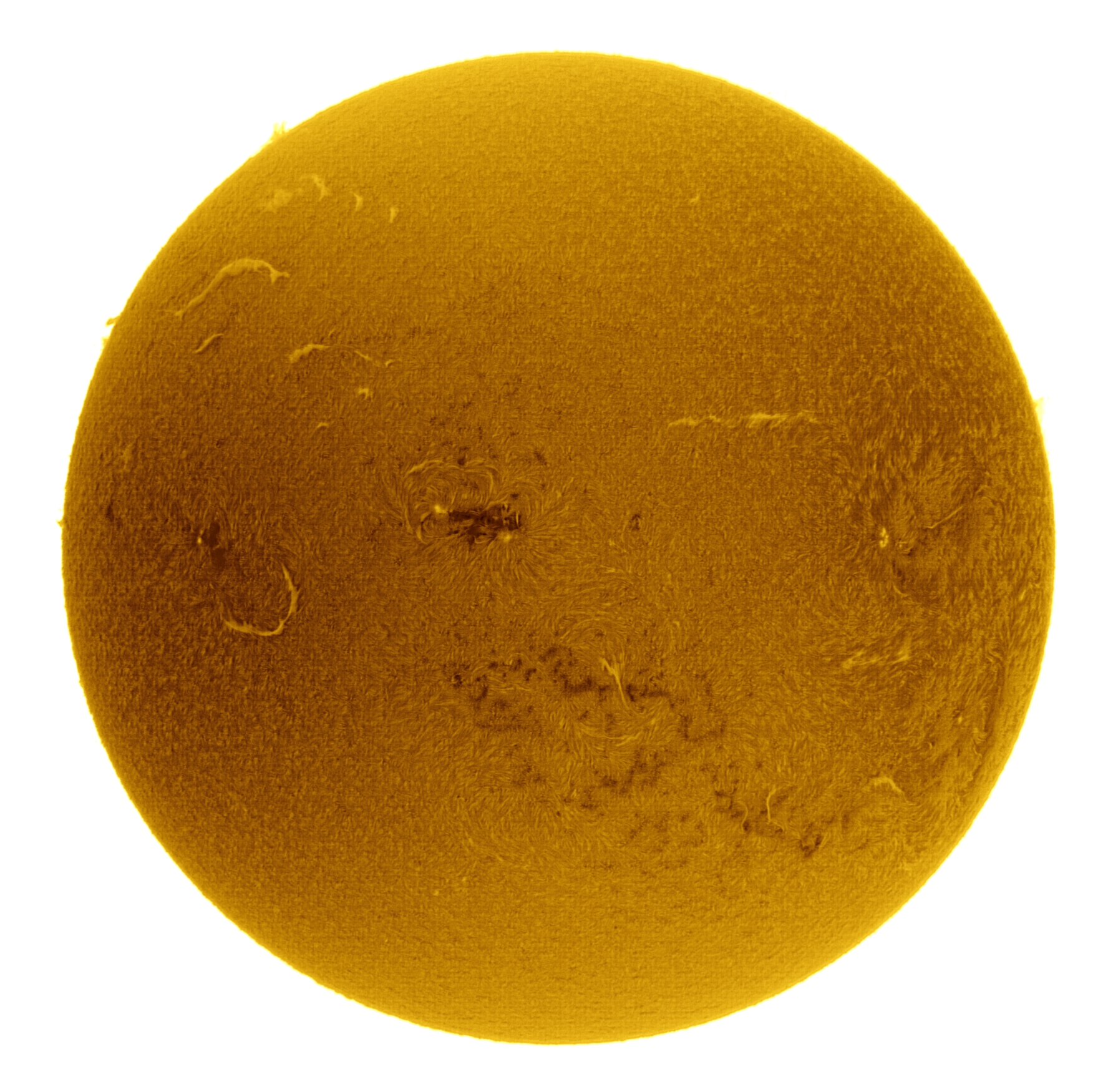Sole di oggi in H-Alpha