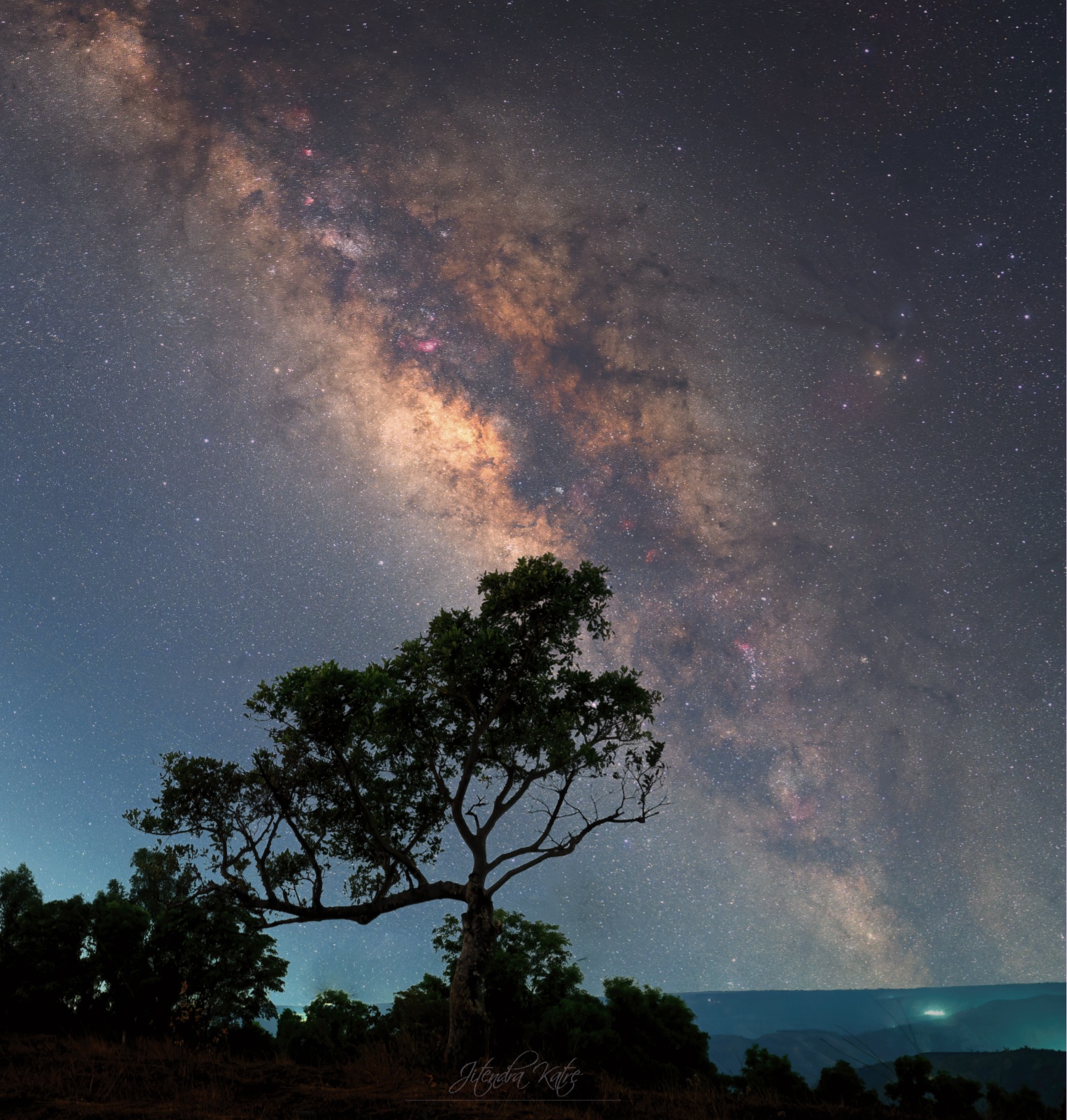 Via Lattea e l'albero