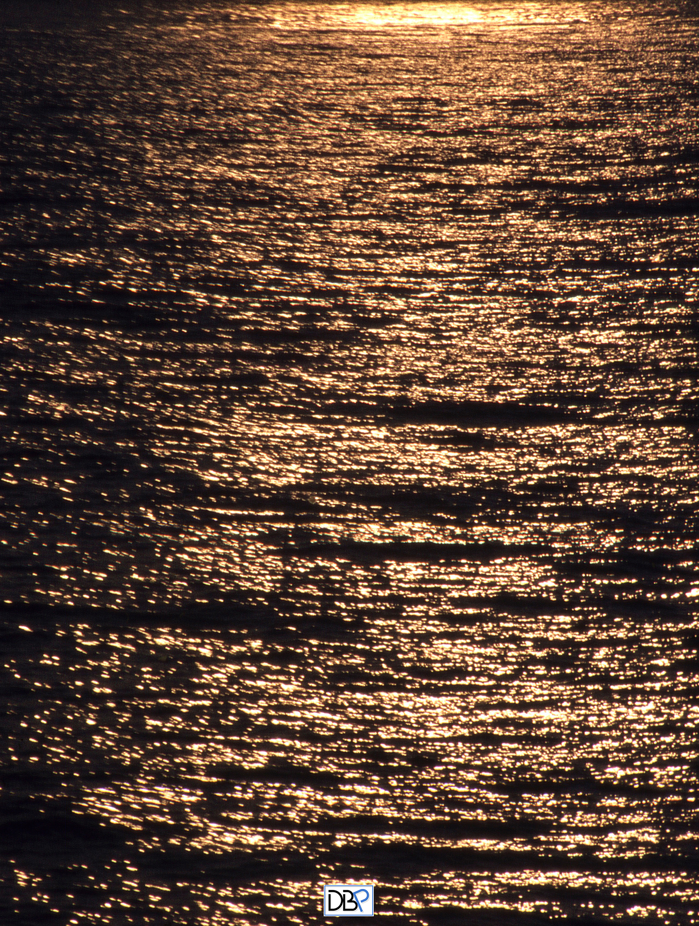 Mare dorato