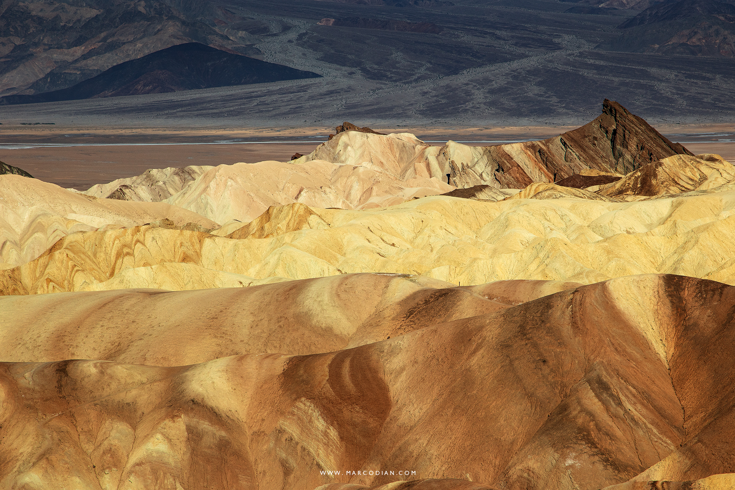 Zabriskie