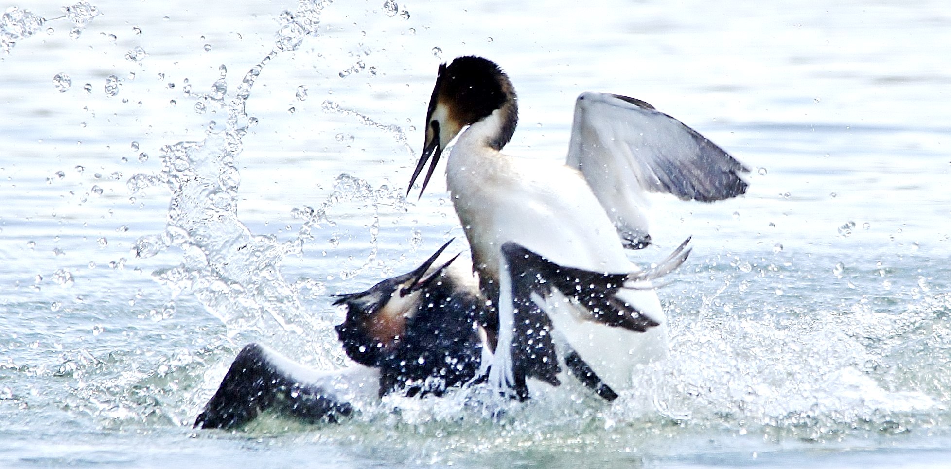 flares during combattiment