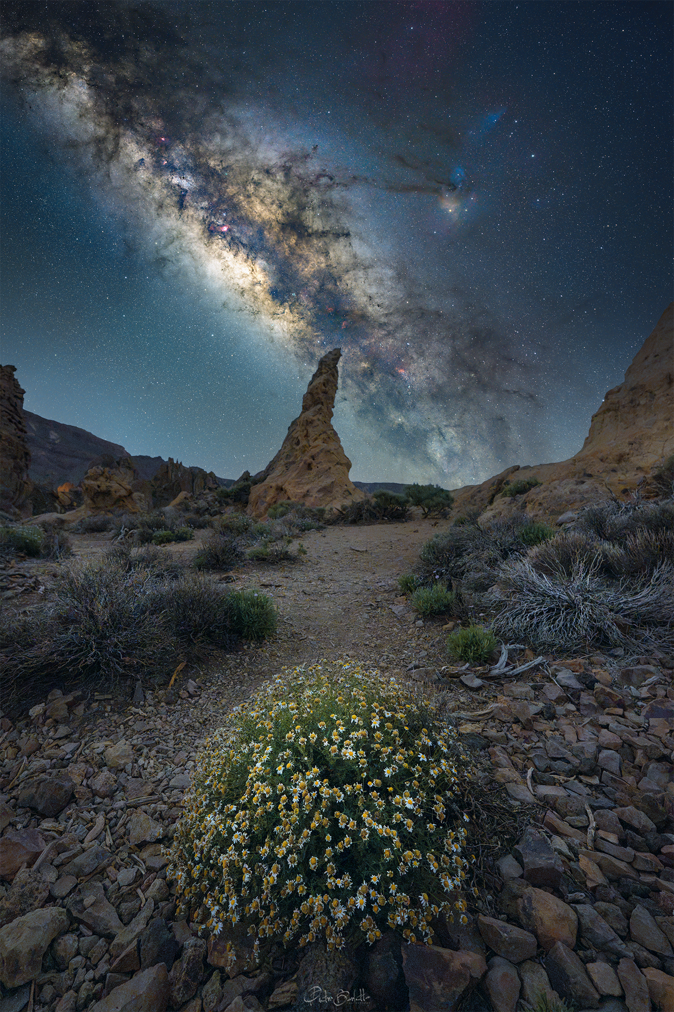 Cosmic flower's