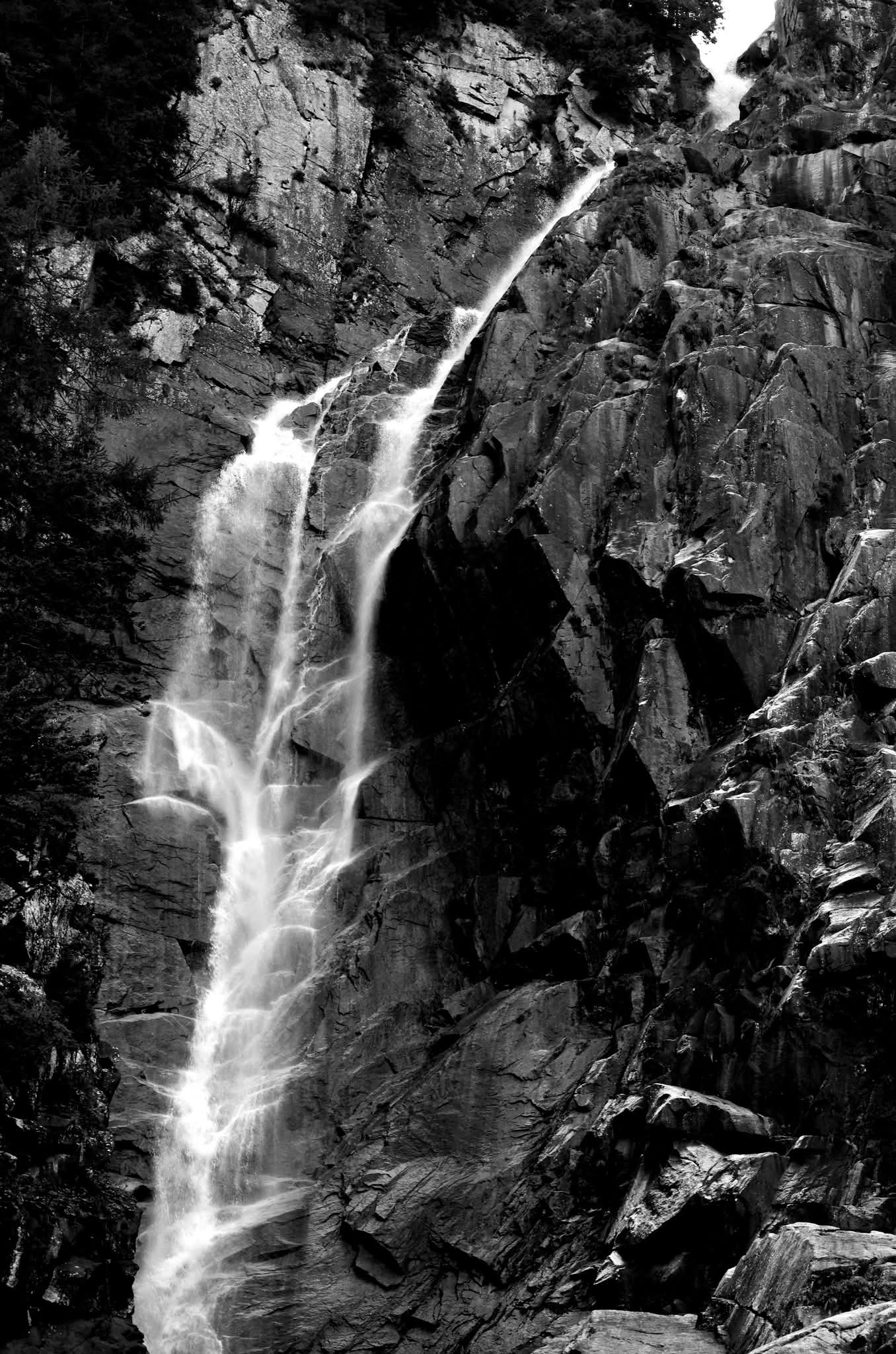 My black and white
