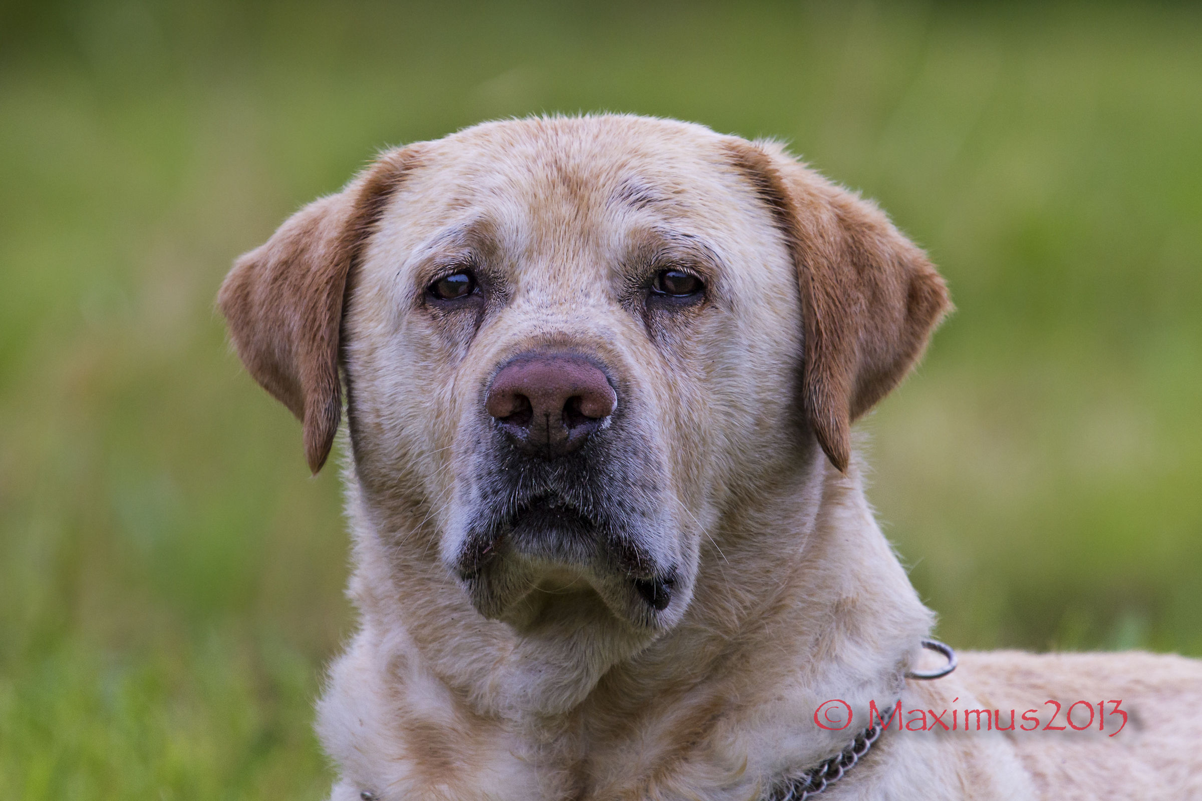 .. crossing of glances ...