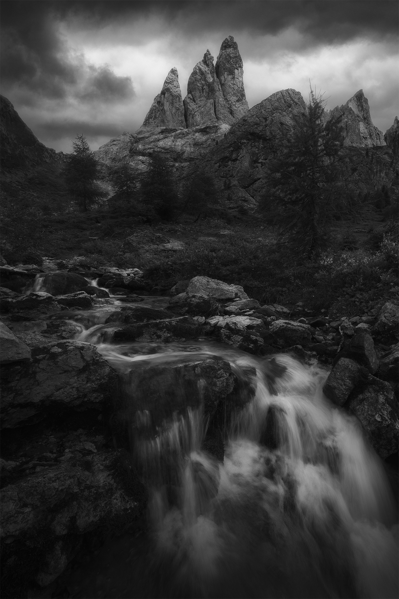 Where Dreams Fade