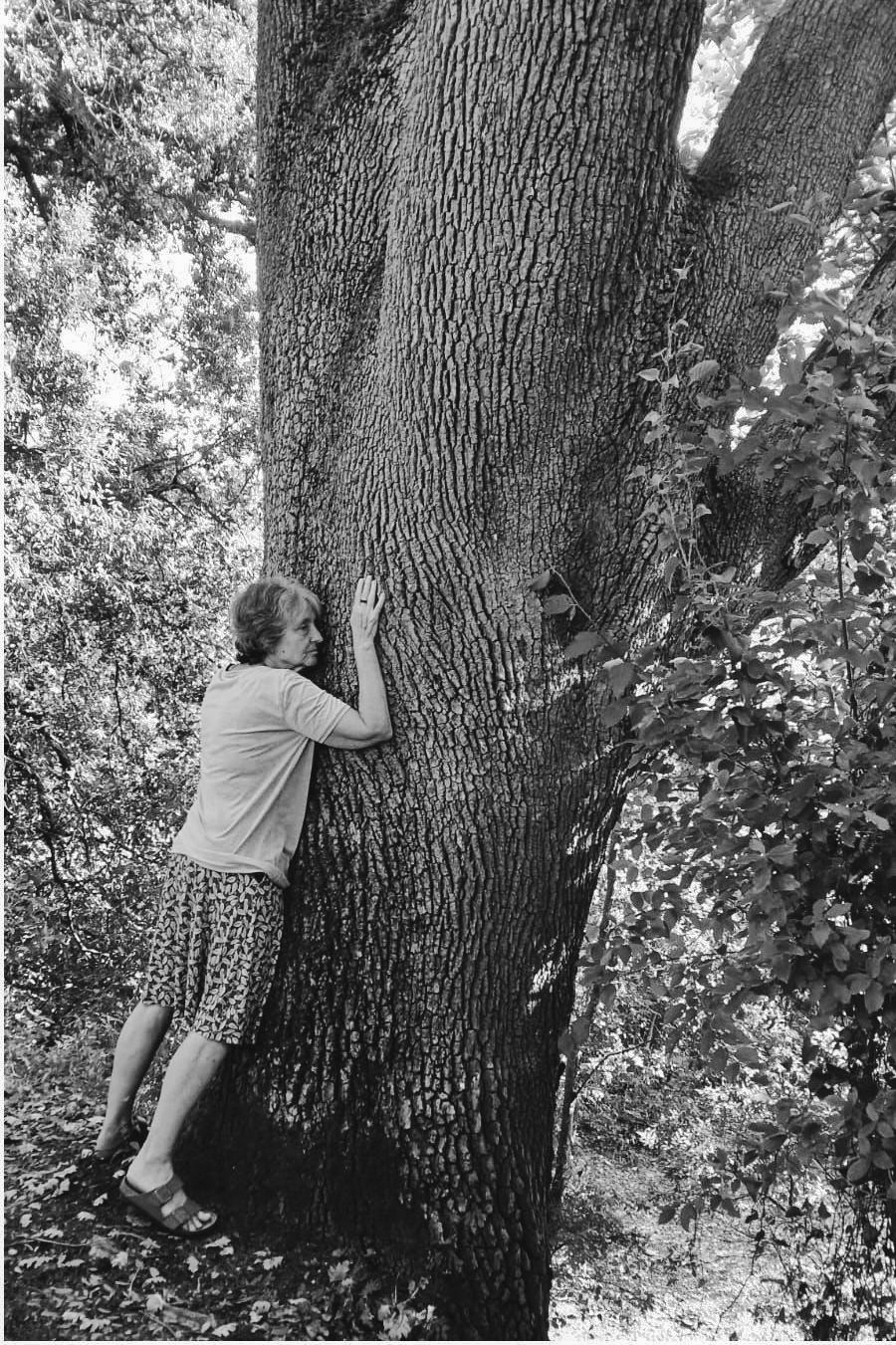 Amore per gli alberi