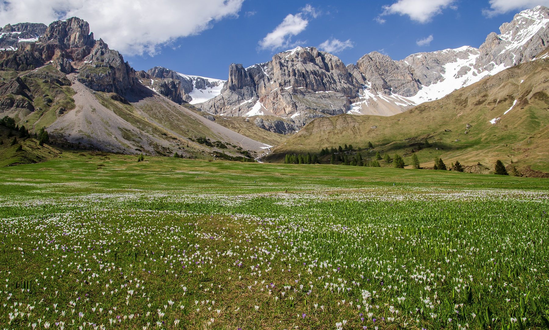 La primavera avanza