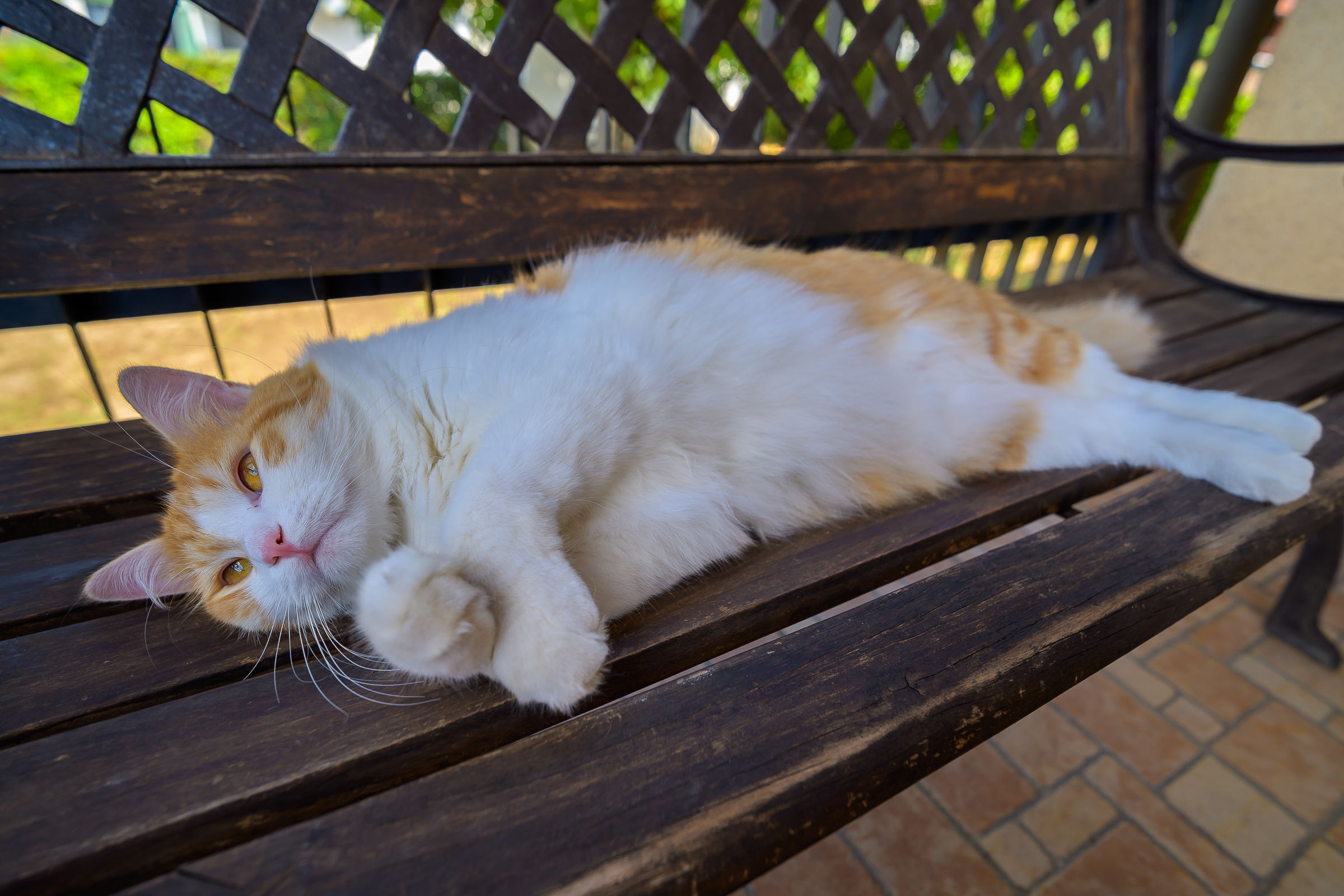 The bench is mine!